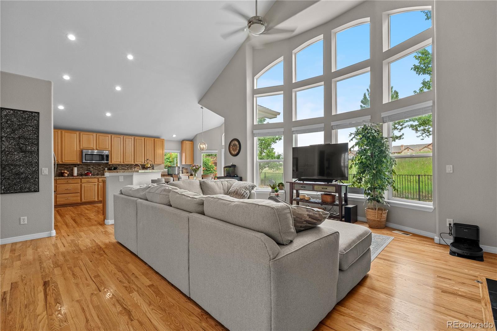 MLS Image #9 for 1362  double eagle court,castle rock, Colorado