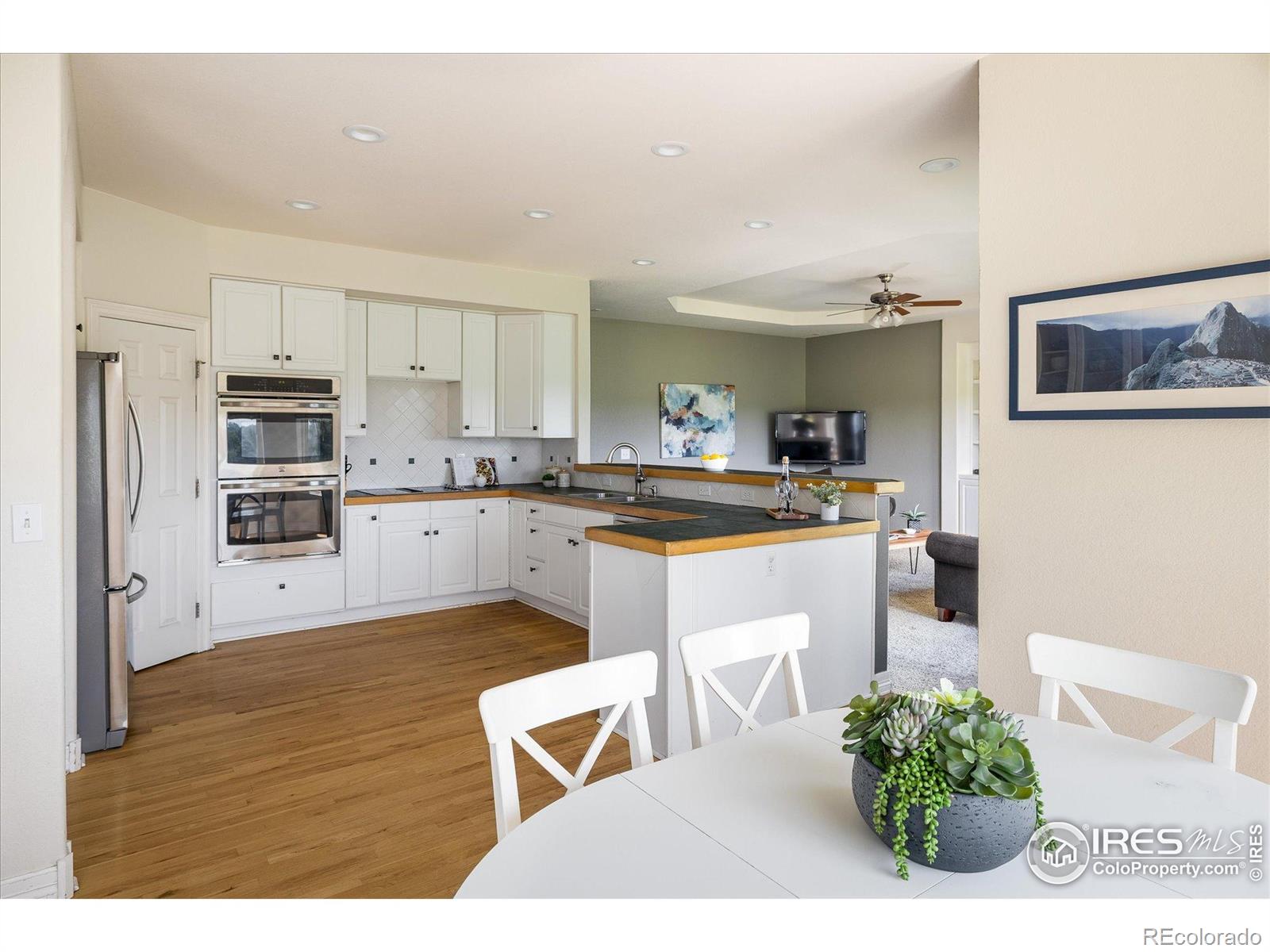 MLS Image #15 for 1366  teton point,lafayette, Colorado