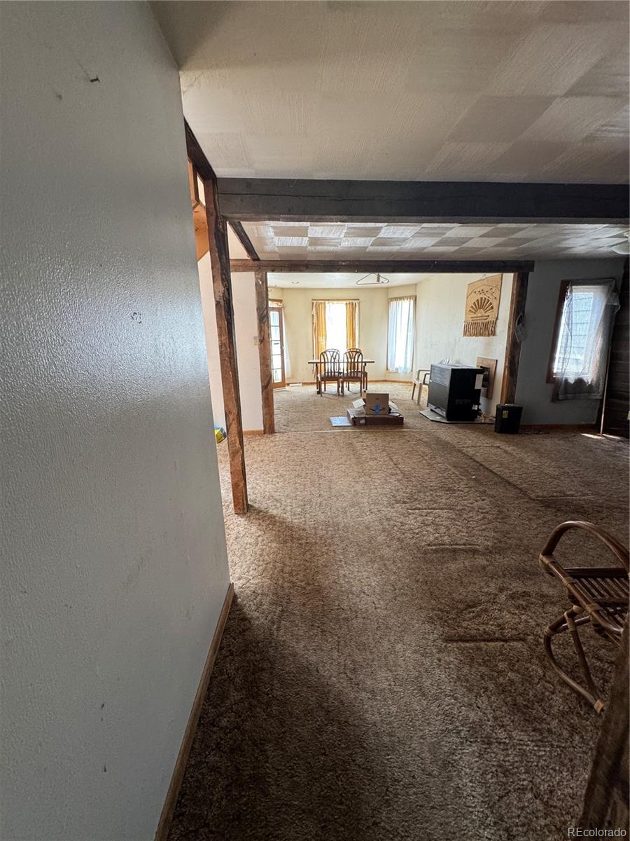 MLS Image #20 for 518 e 7th street,leadville, Colorado