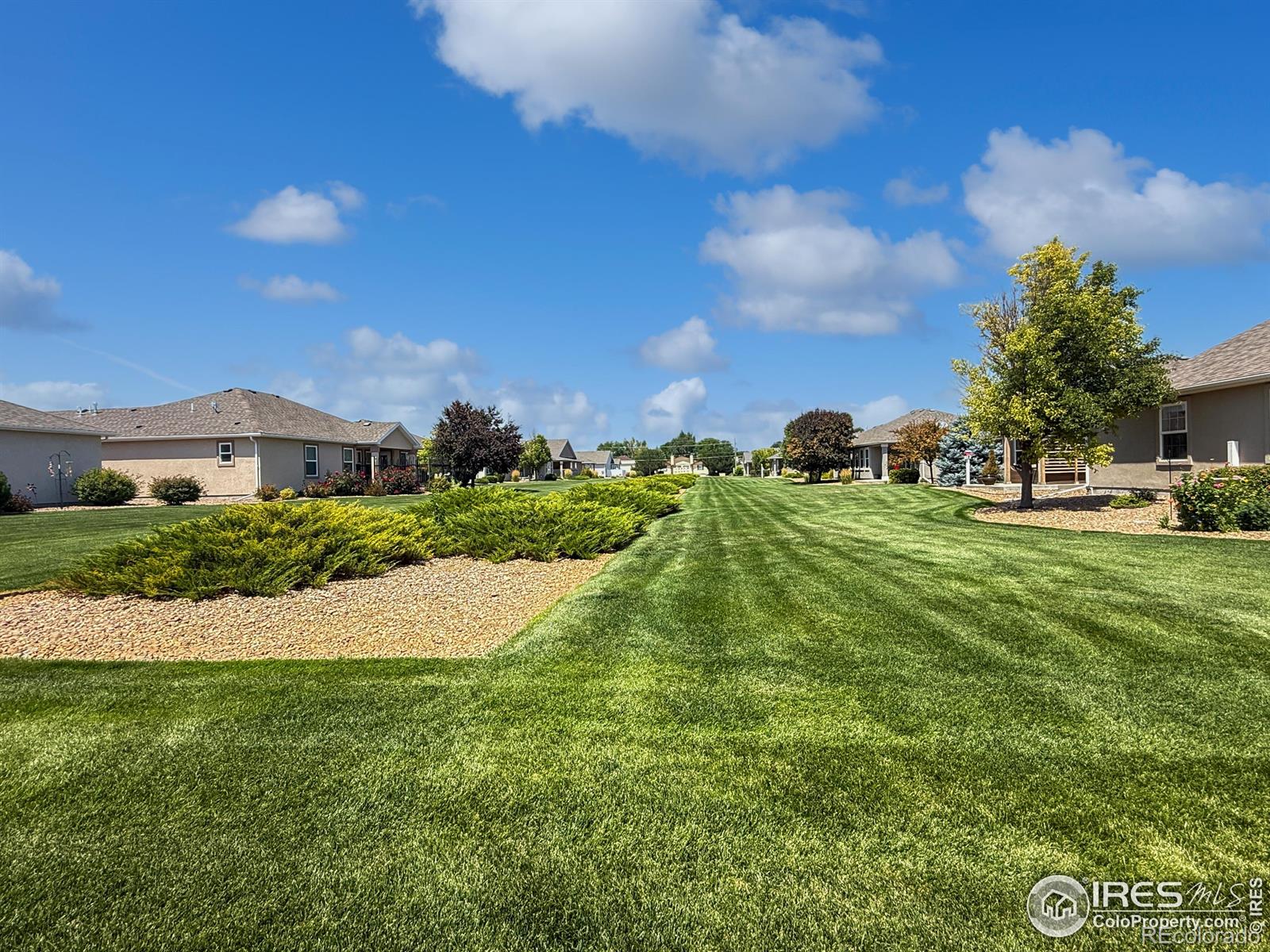 MLS Image #30 for 816  arianne drive,sterling, Colorado