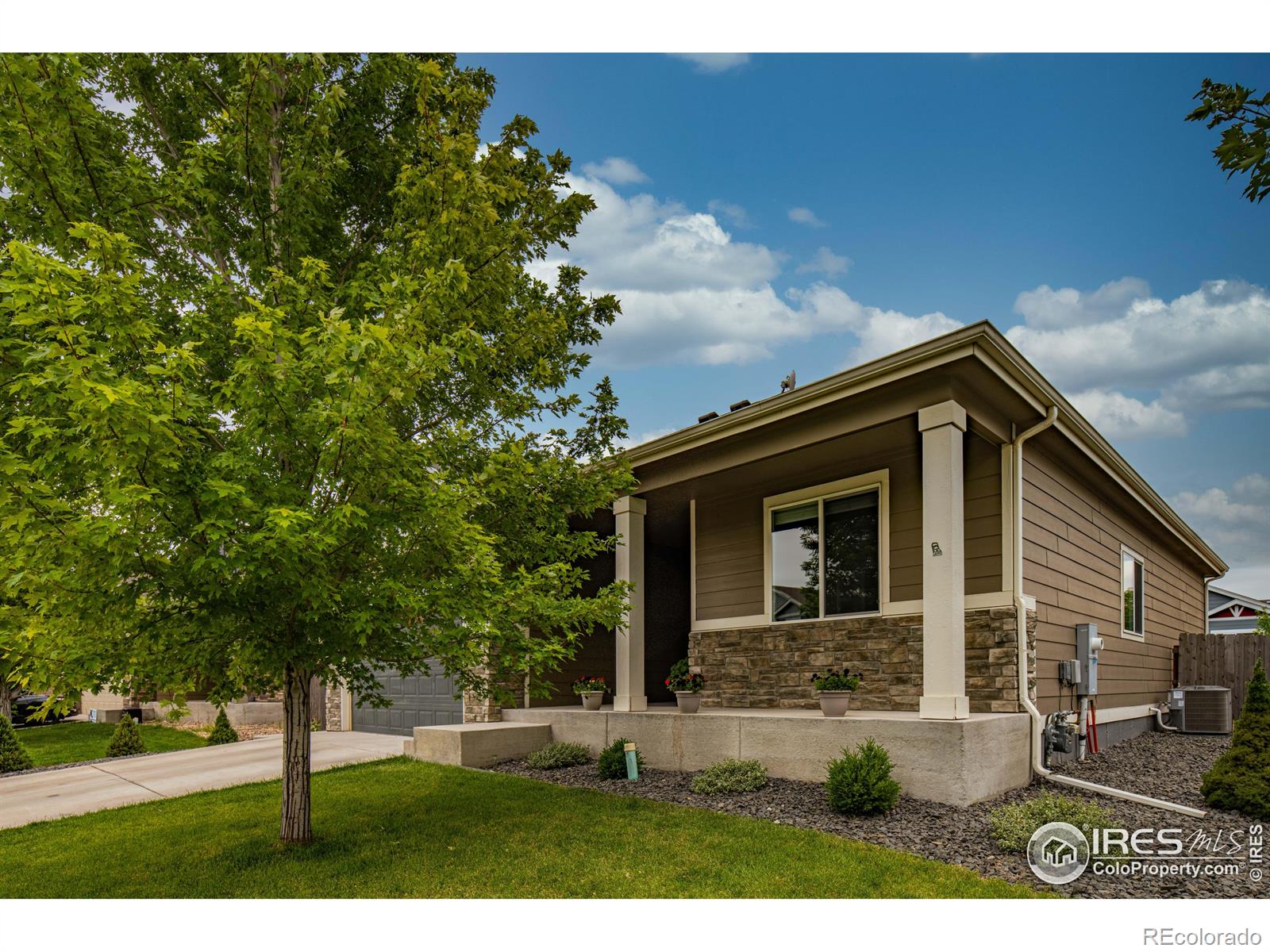 MLS Image #2 for 993  traildust drive,milliken, Colorado
