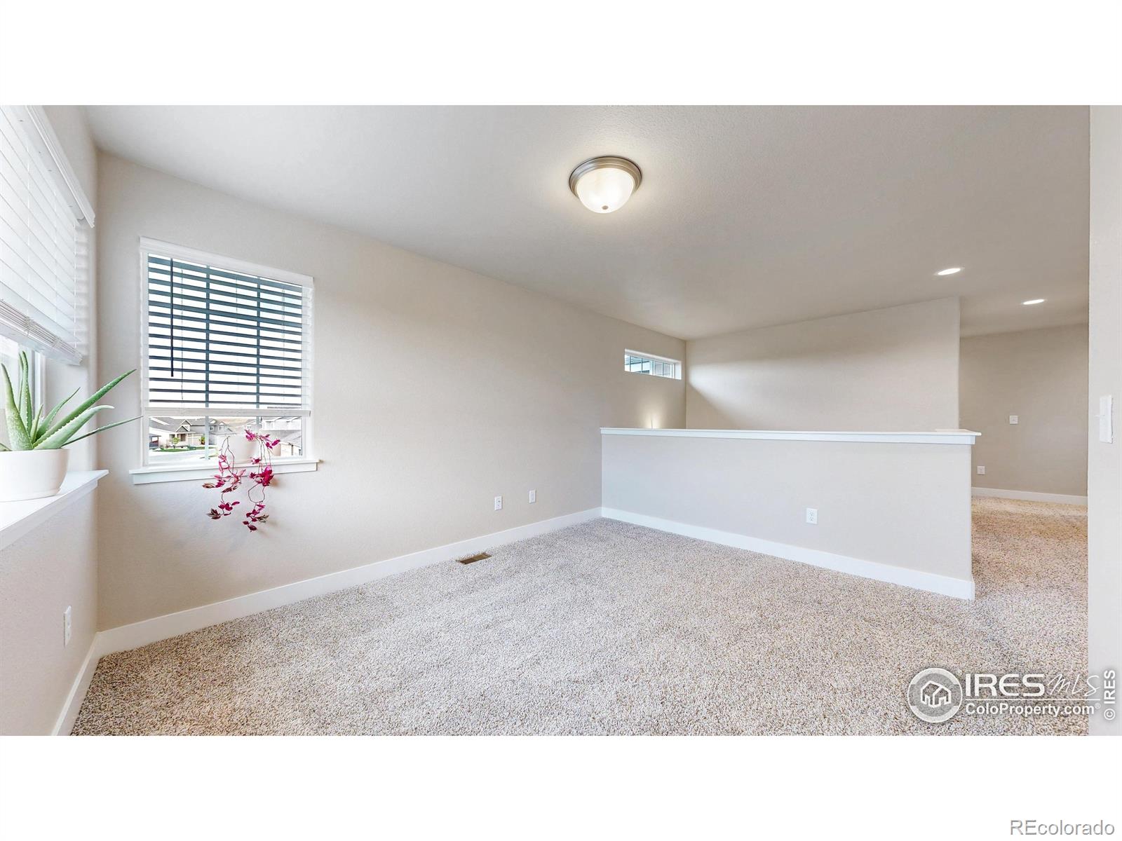 MLS Image #16 for 2476  graceful street,windsor, Colorado