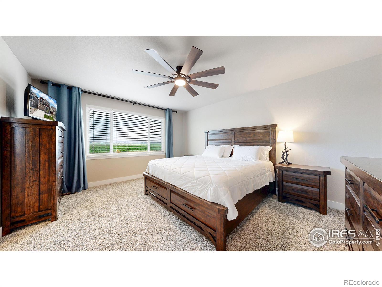 MLS Image #17 for 2476  graceful street,windsor, Colorado