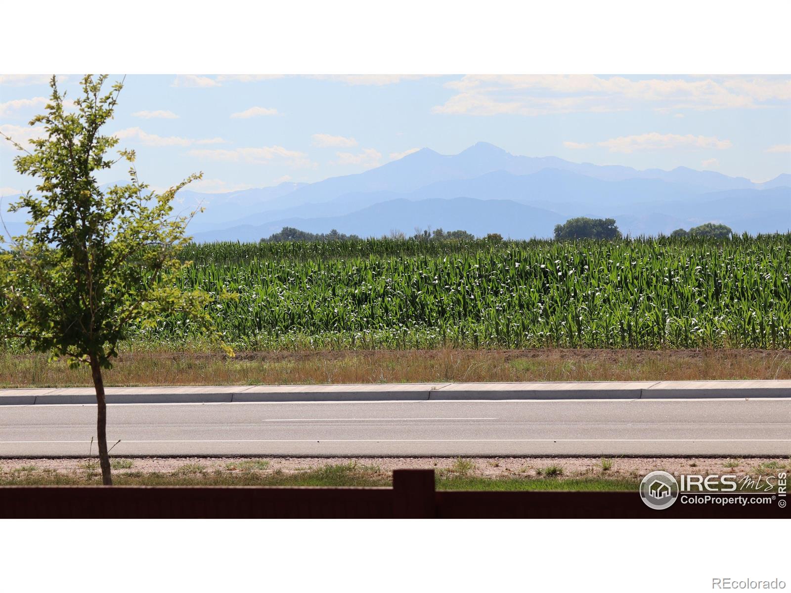 MLS Image #3 for 2476  graceful street,windsor, Colorado