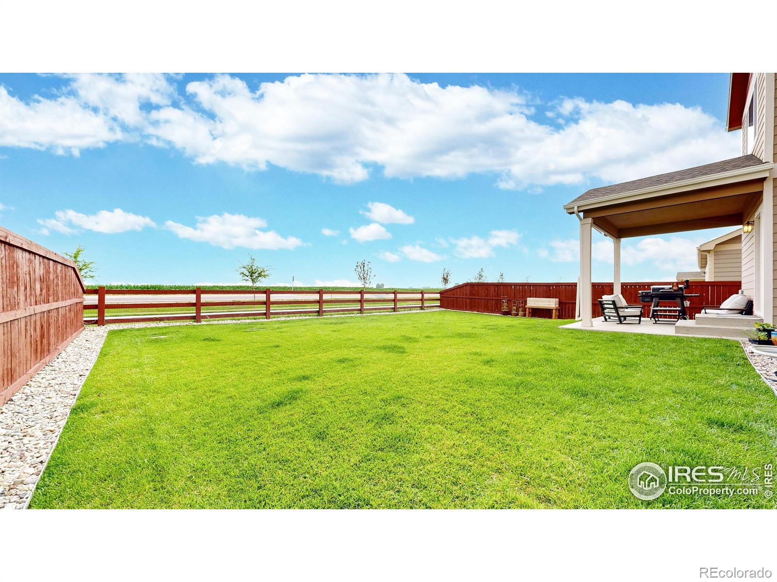 MLS Image #35 for 2476  graceful street,windsor, Colorado