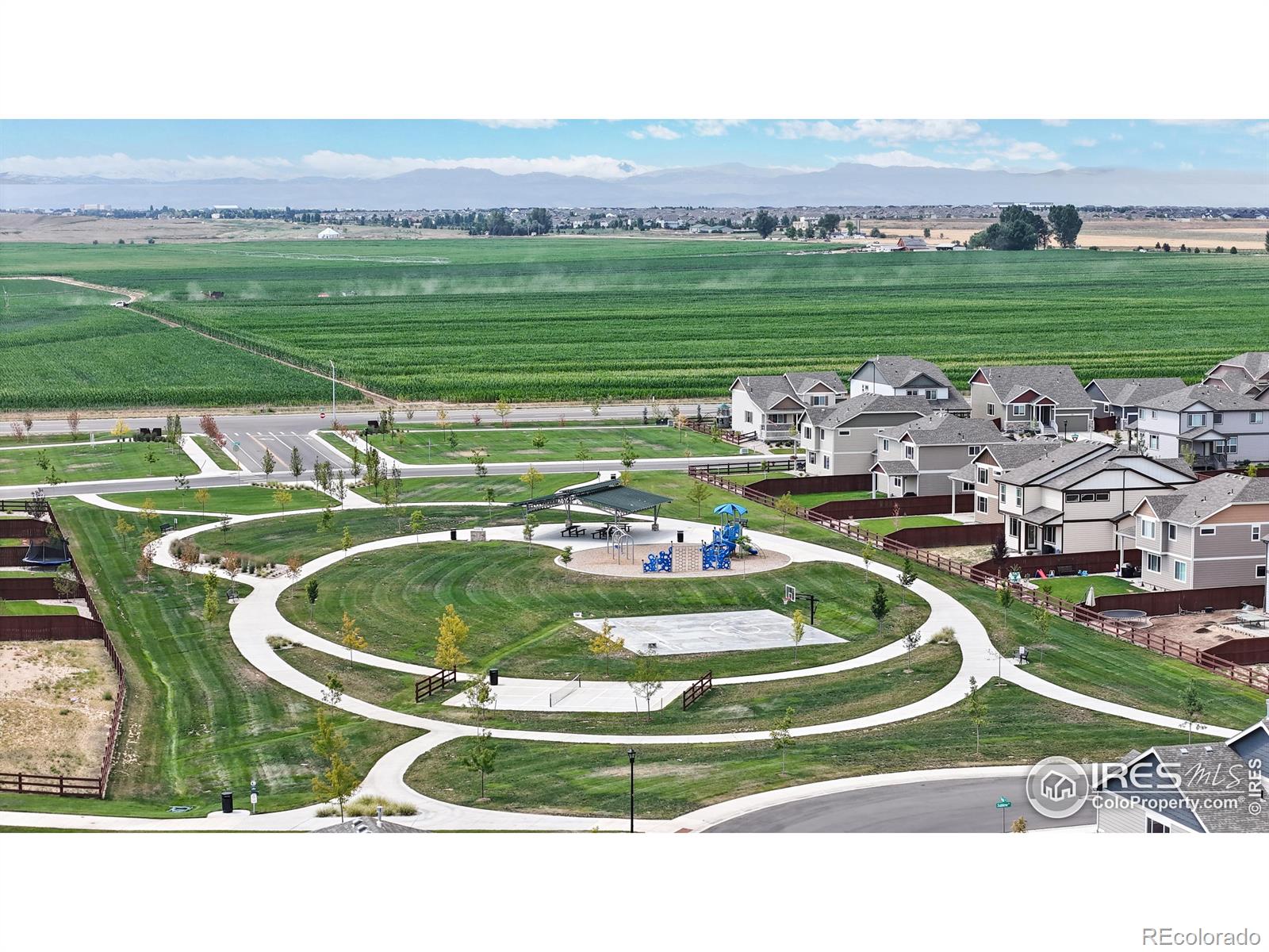 MLS Image #36 for 2476  graceful street,windsor, Colorado