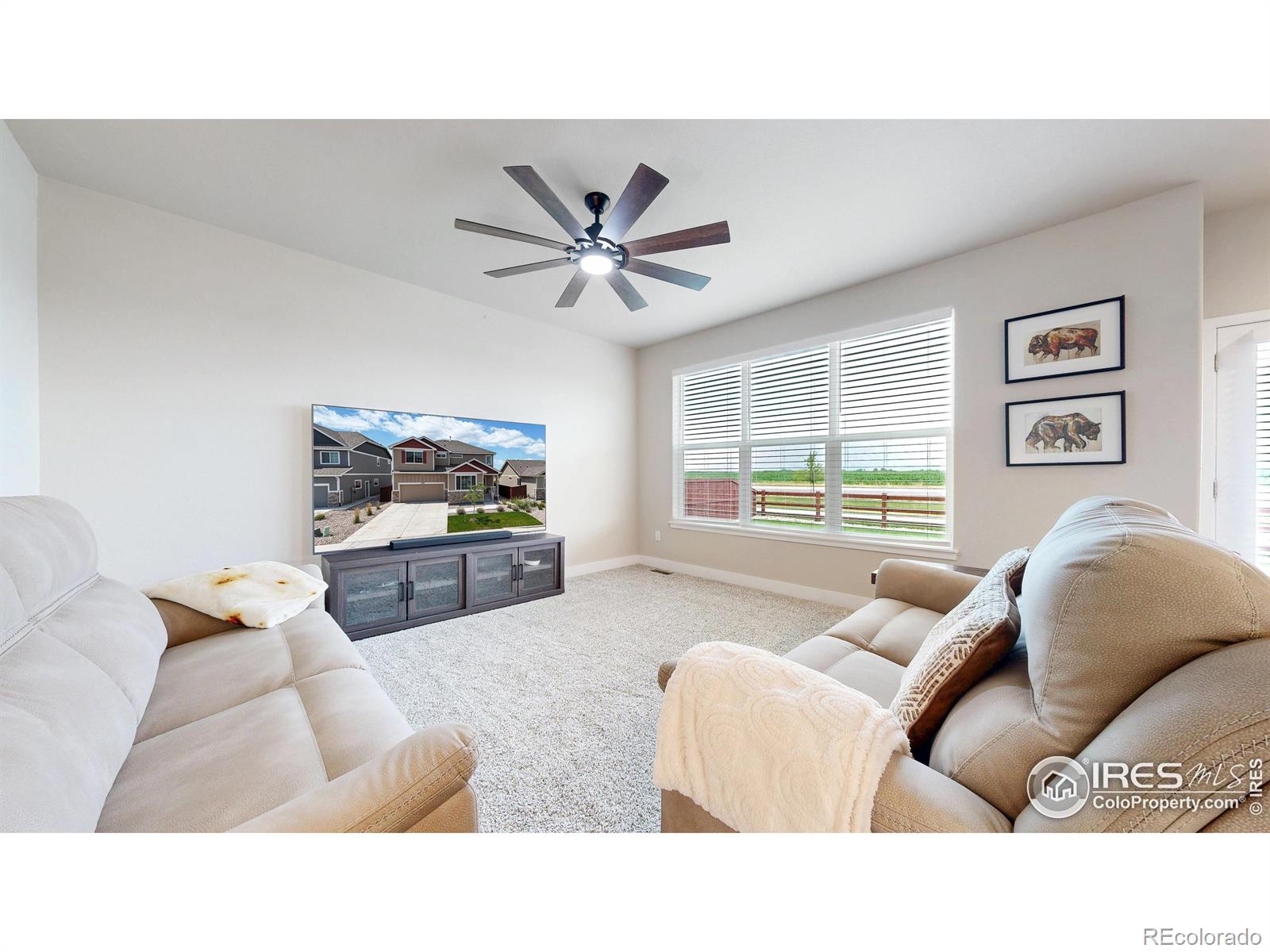 MLS Image #4 for 2476  graceful street,windsor, Colorado