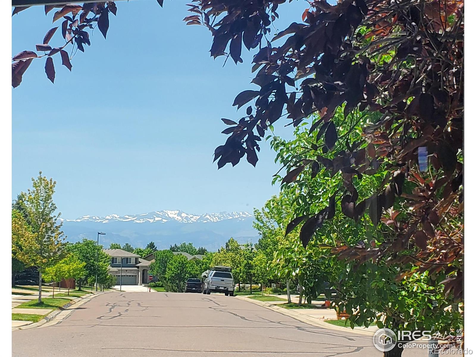 MLS Image #2 for 2085  tundra circle,erie, Colorado
