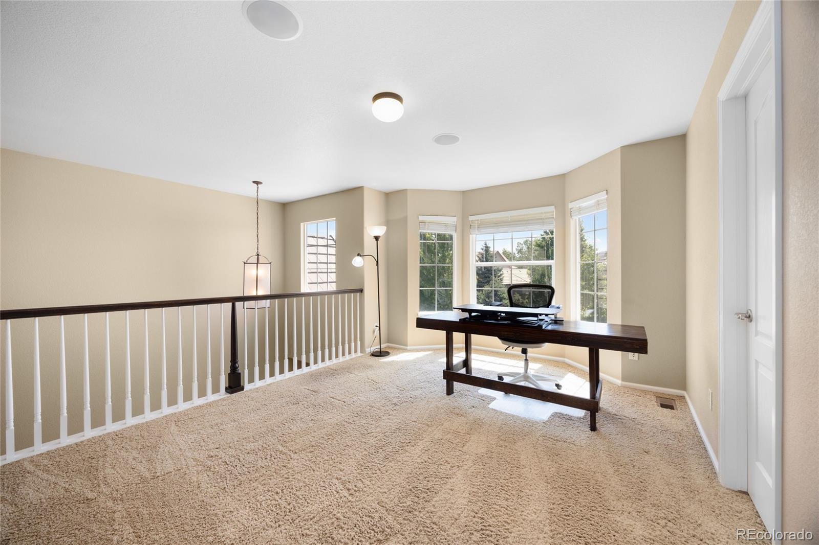MLS Image #19 for 6987  esperanza drive,castle pines, Colorado