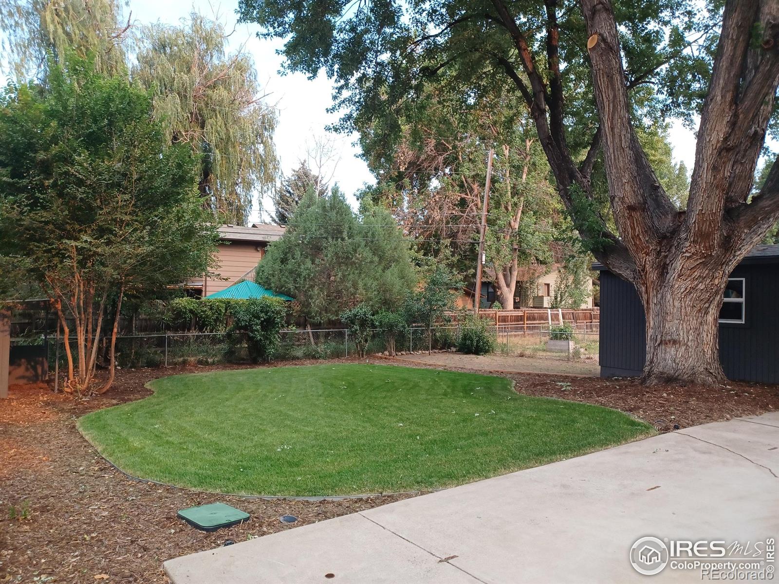 MLS Image #4 for 930  grant street,longmont, Colorado