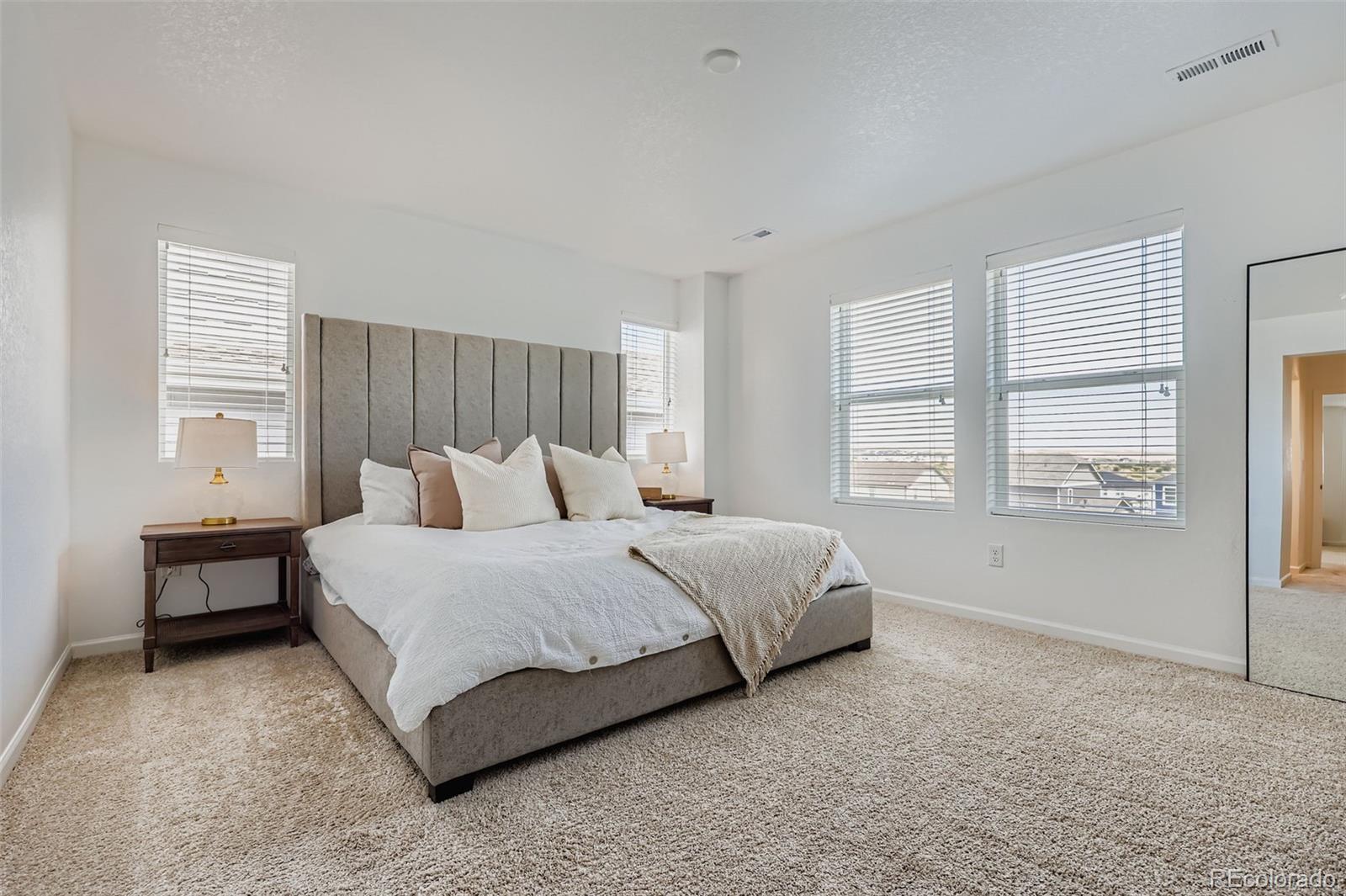 MLS Image #16 for 17243  birds foot trail,parker, Colorado