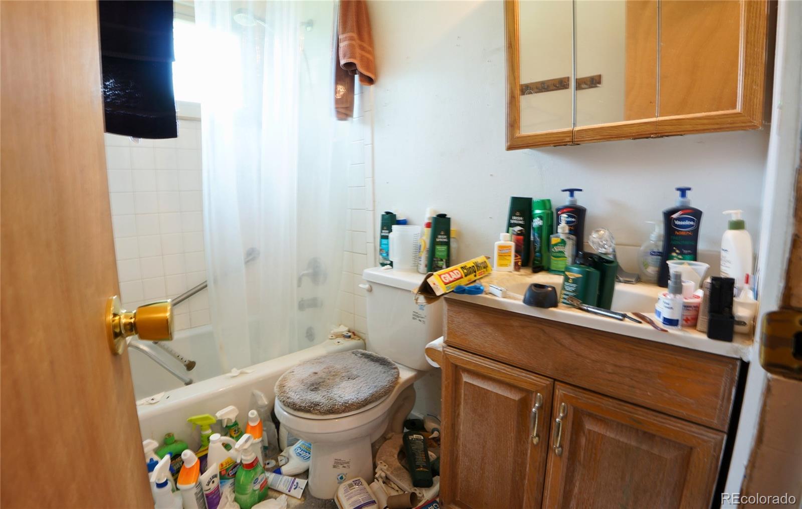 MLS Image #22 for 7005  metropolitan street,colorado springs, Colorado