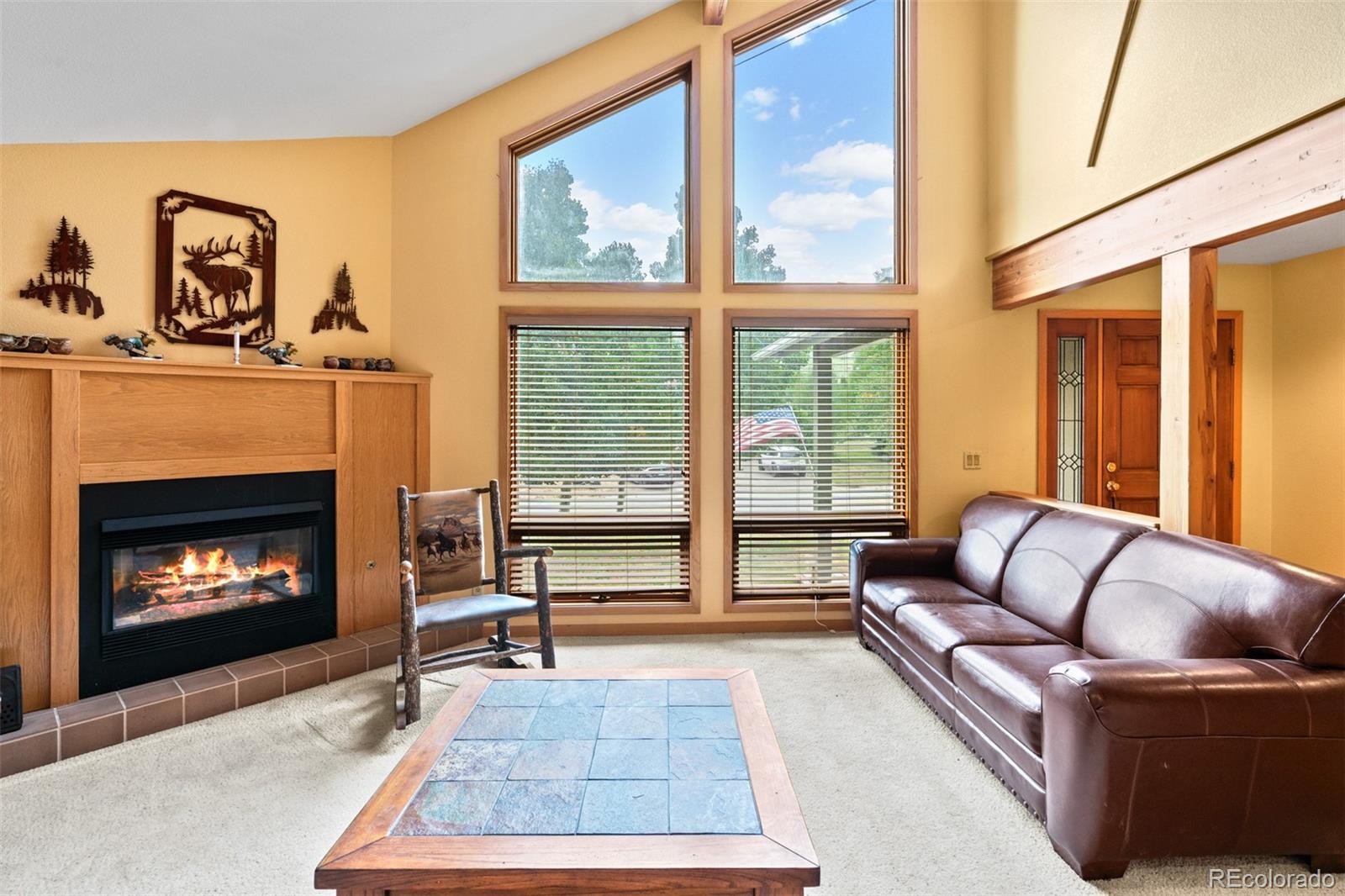 MLS Image #10 for 868  deer path road,dillon, Colorado