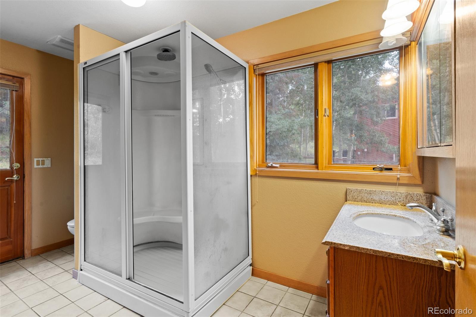 MLS Image #20 for 868  deer path road,dillon, Colorado
