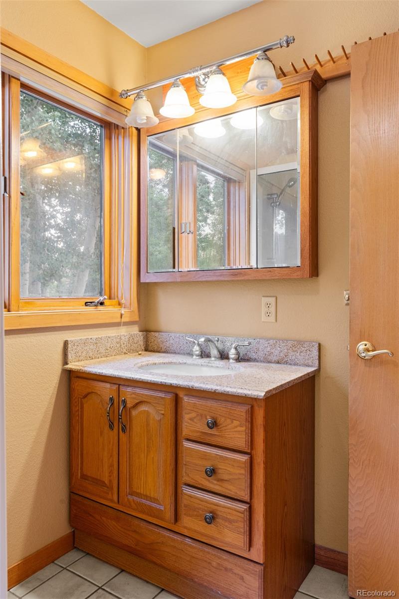 MLS Image #21 for 868  deer path road,dillon, Colorado