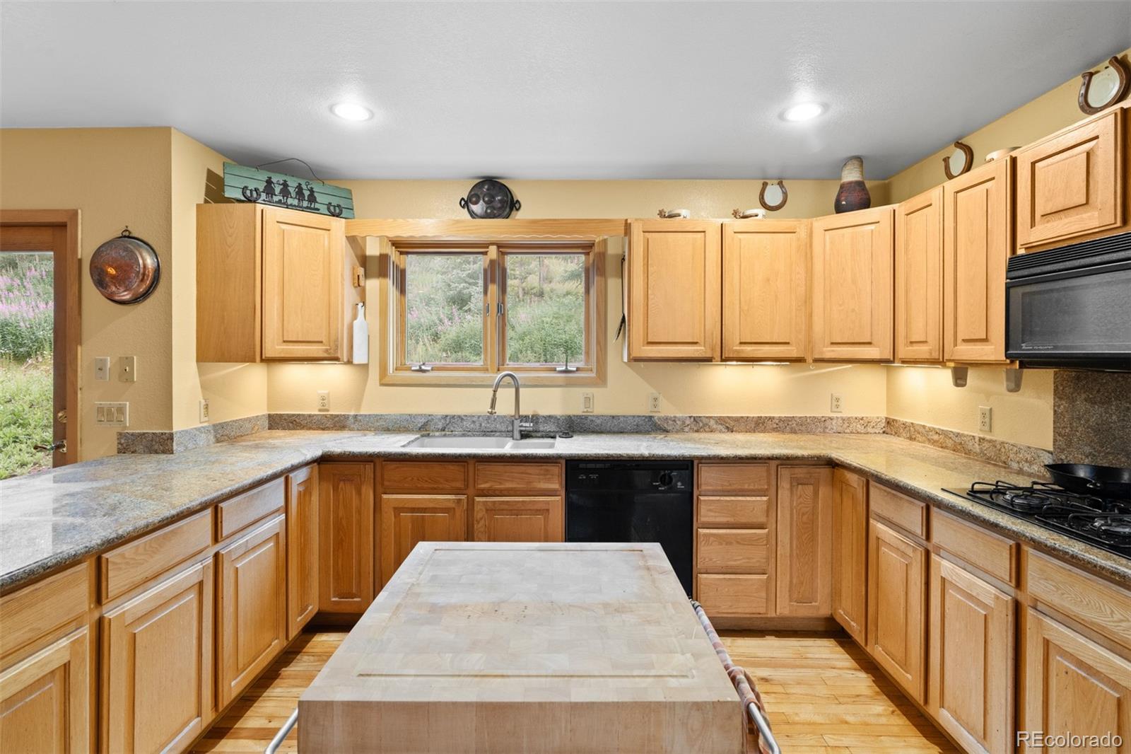 MLS Image #24 for 868  deer path road,dillon, Colorado