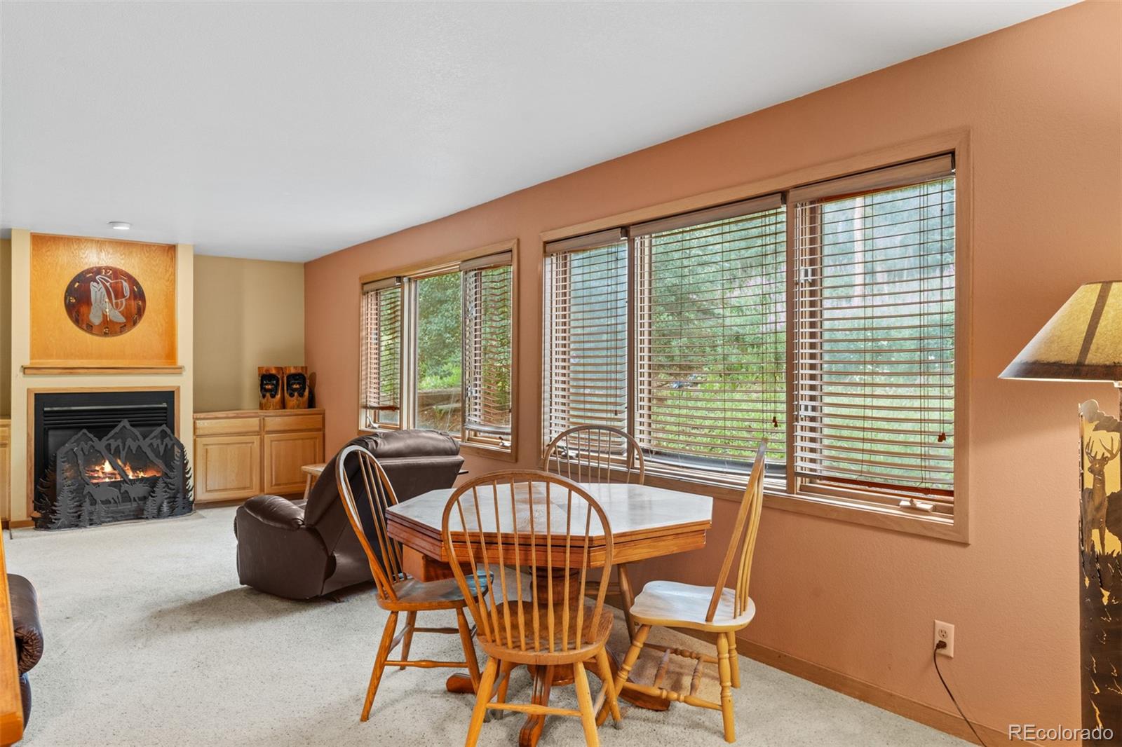 MLS Image #27 for 868  deer path road,dillon, Colorado