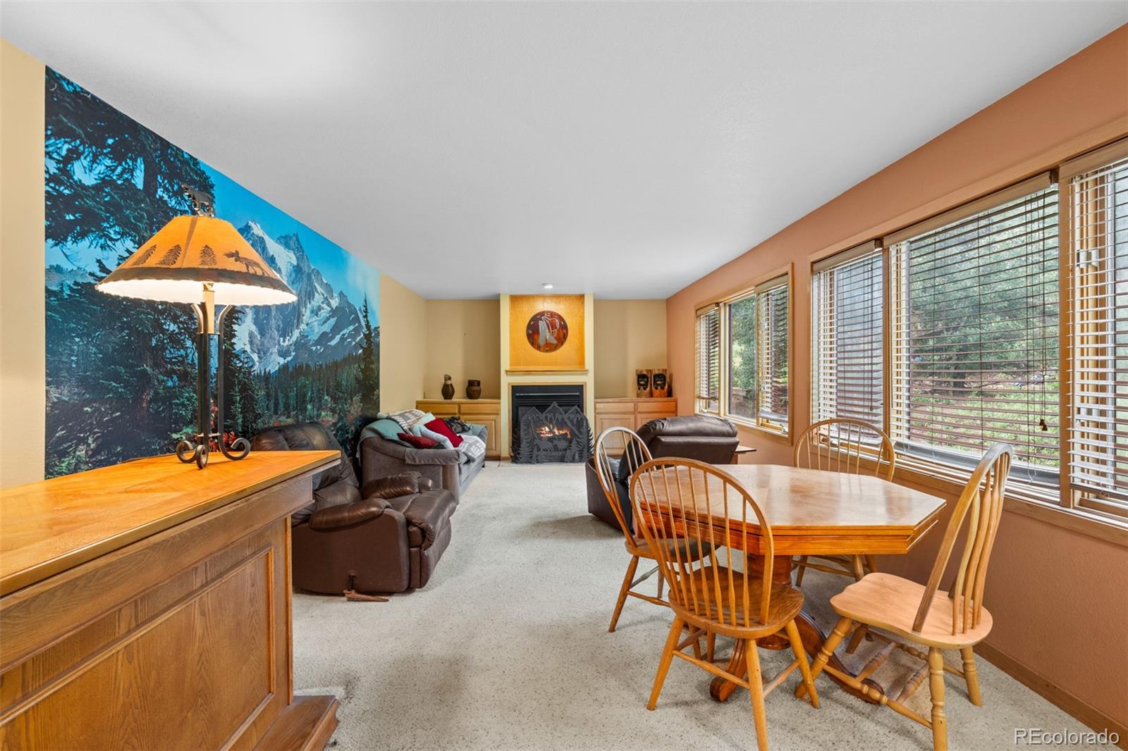 MLS Image #28 for 868  deer path road,dillon, Colorado