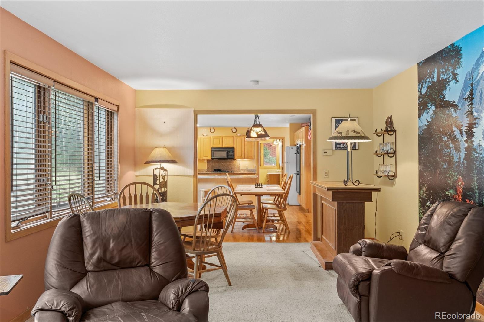 MLS Image #30 for 868  deer path road,dillon, Colorado