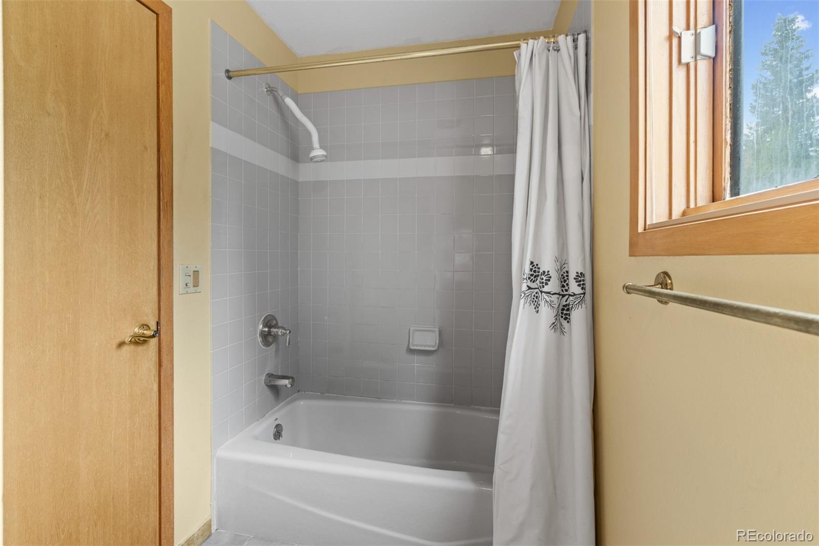 MLS Image #46 for 868  deer path road,dillon, Colorado
