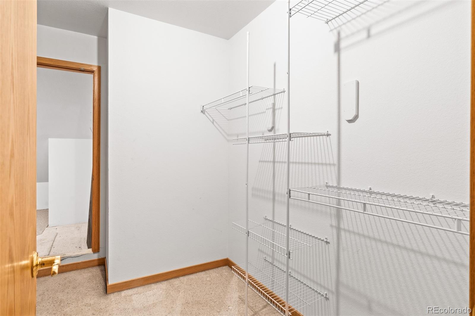 MLS Image #48 for 868  deer path road,dillon, Colorado