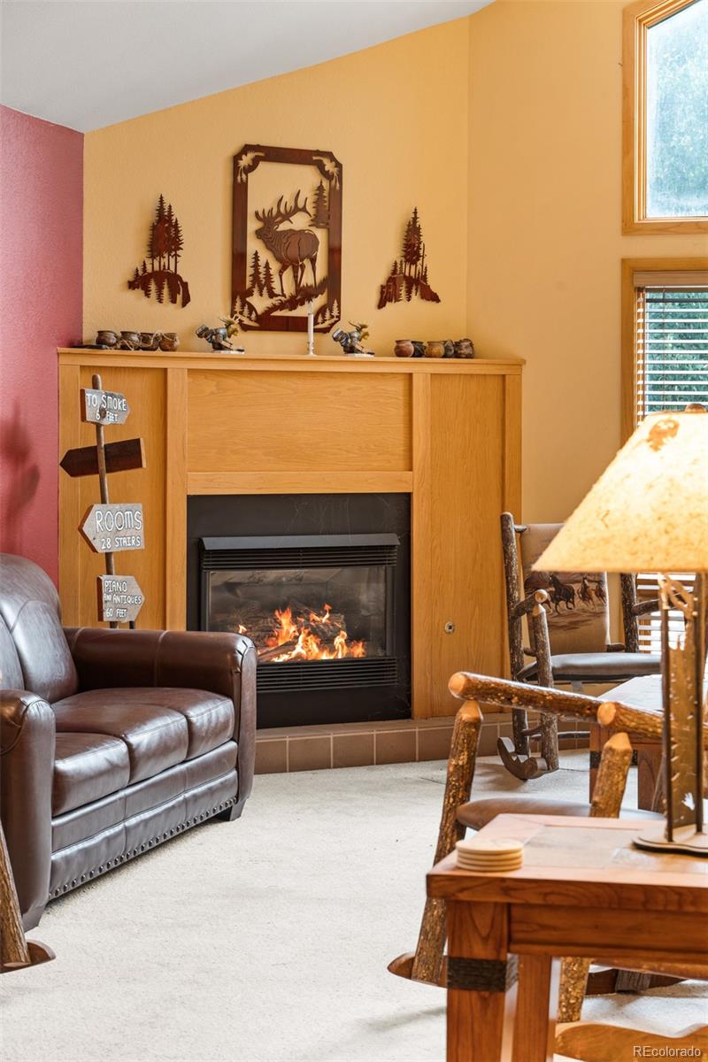 MLS Image #6 for 868  deer path road,dillon, Colorado
