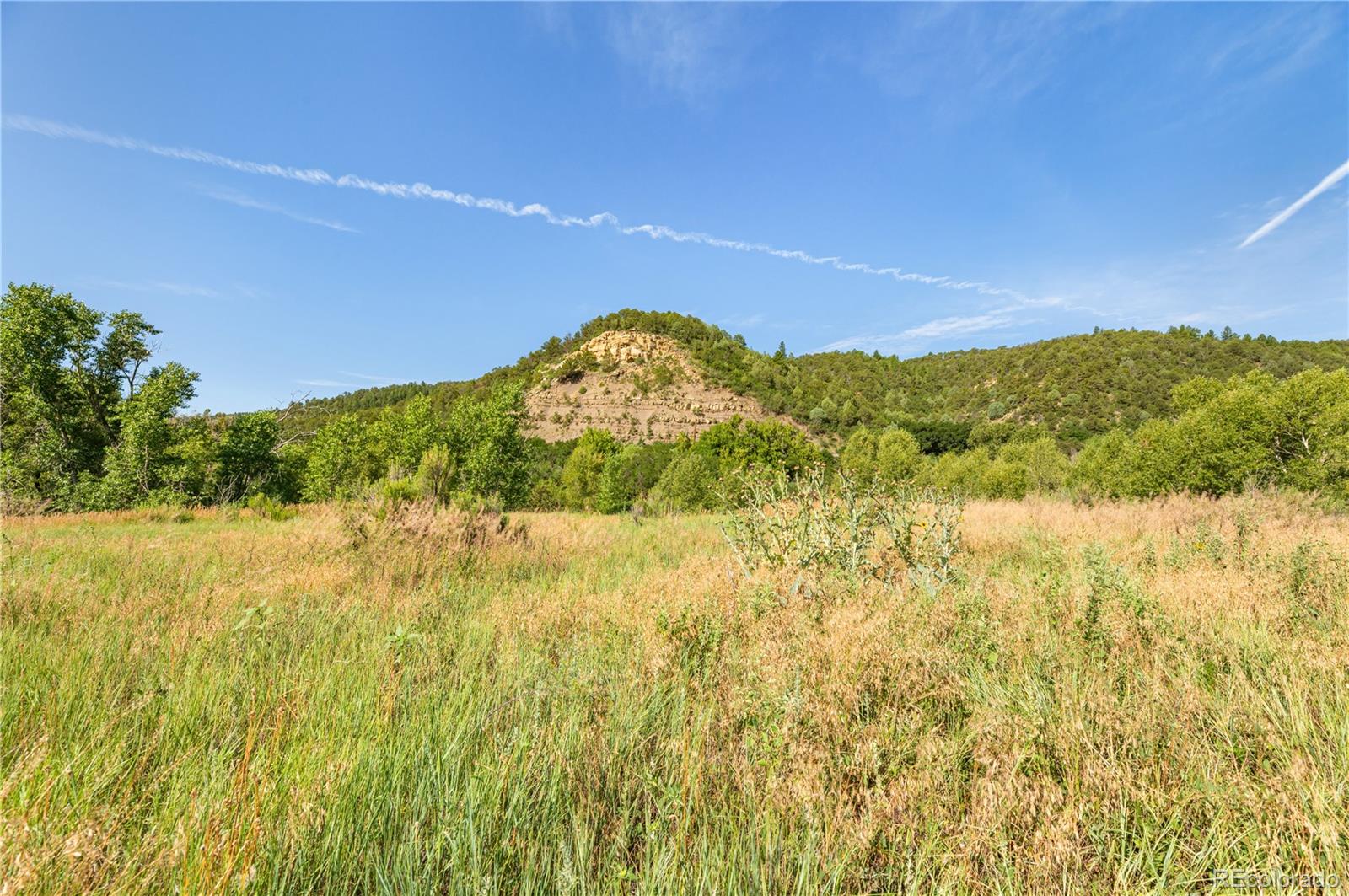 MLS Image #44 for 33822  fishers peak parkway,trinidad, Colorado