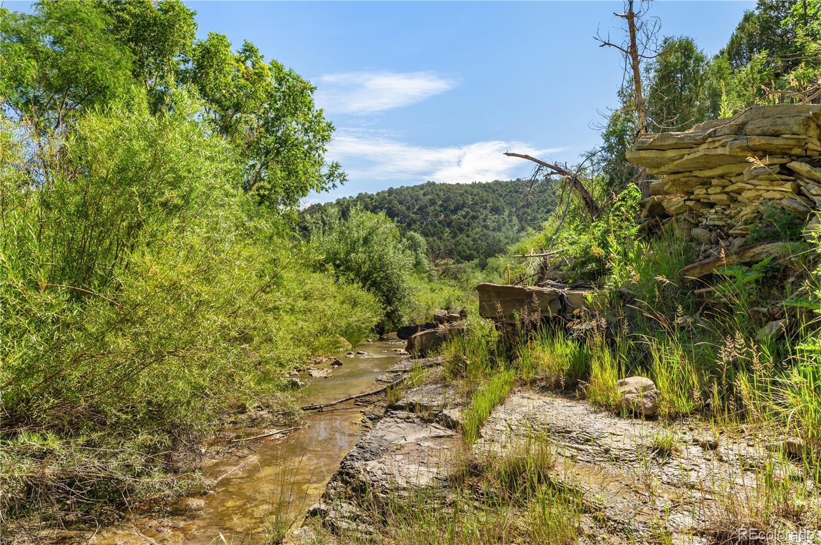 MLS Image #47 for 33822  fishers peak parkway,trinidad, Colorado