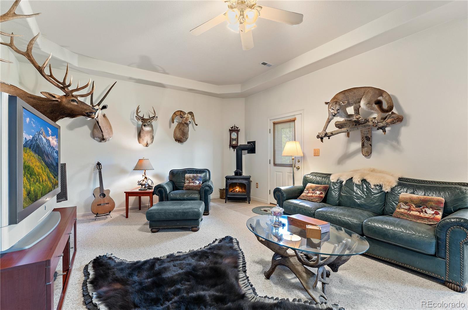 MLS Image #6 for 33822  fishers peak parkway,trinidad, Colorado