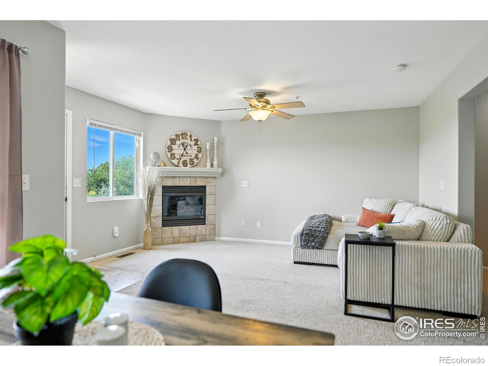 MLS Image #10 for 1601  great western drive,longmont, Colorado