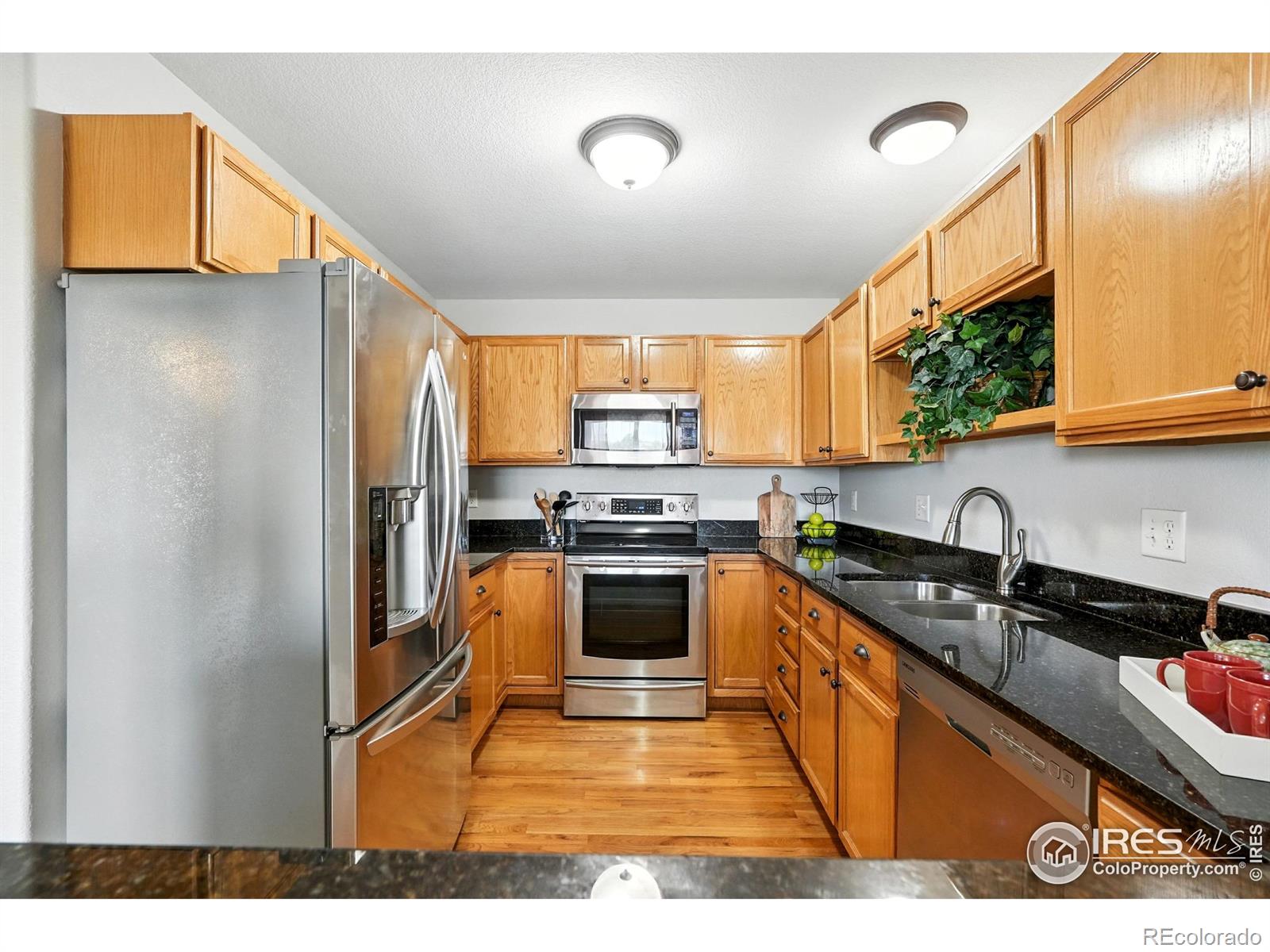 MLS Image #15 for 1601  great western drive,longmont, Colorado