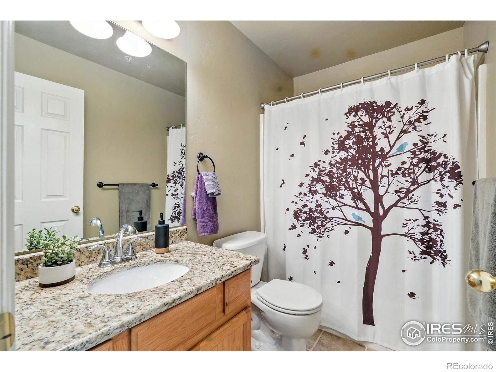 MLS Image #25 for 1601  great western drive,longmont, Colorado