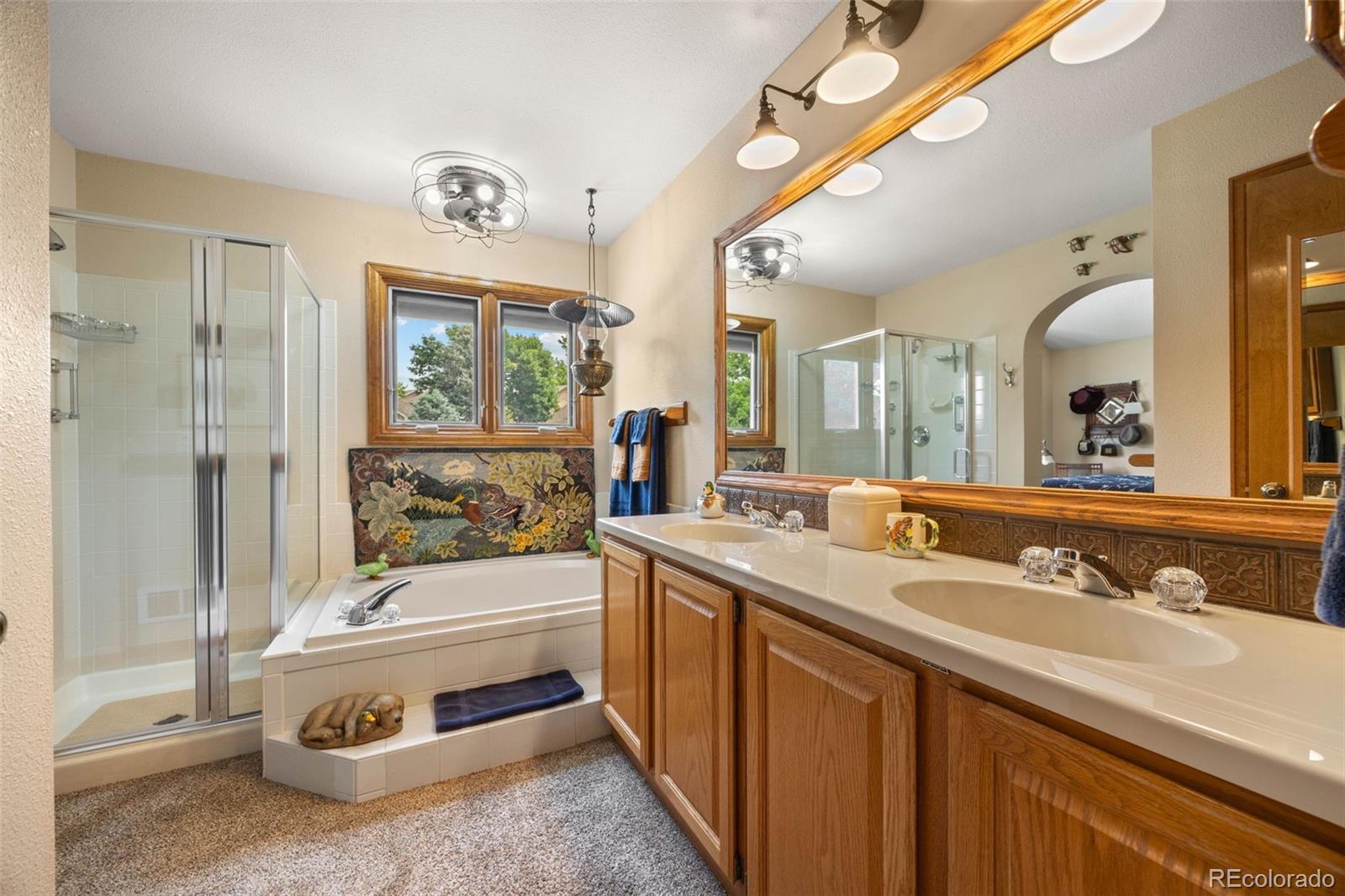 MLS Image #13 for 6374  harvard lane,highlands ranch, Colorado