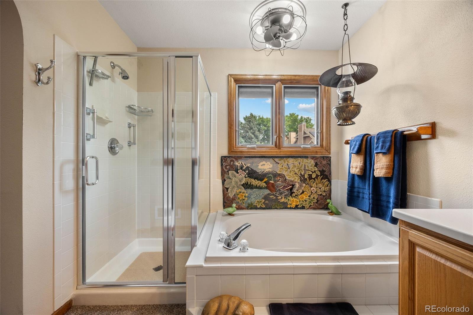 MLS Image #14 for 6374  harvard lane,highlands ranch, Colorado