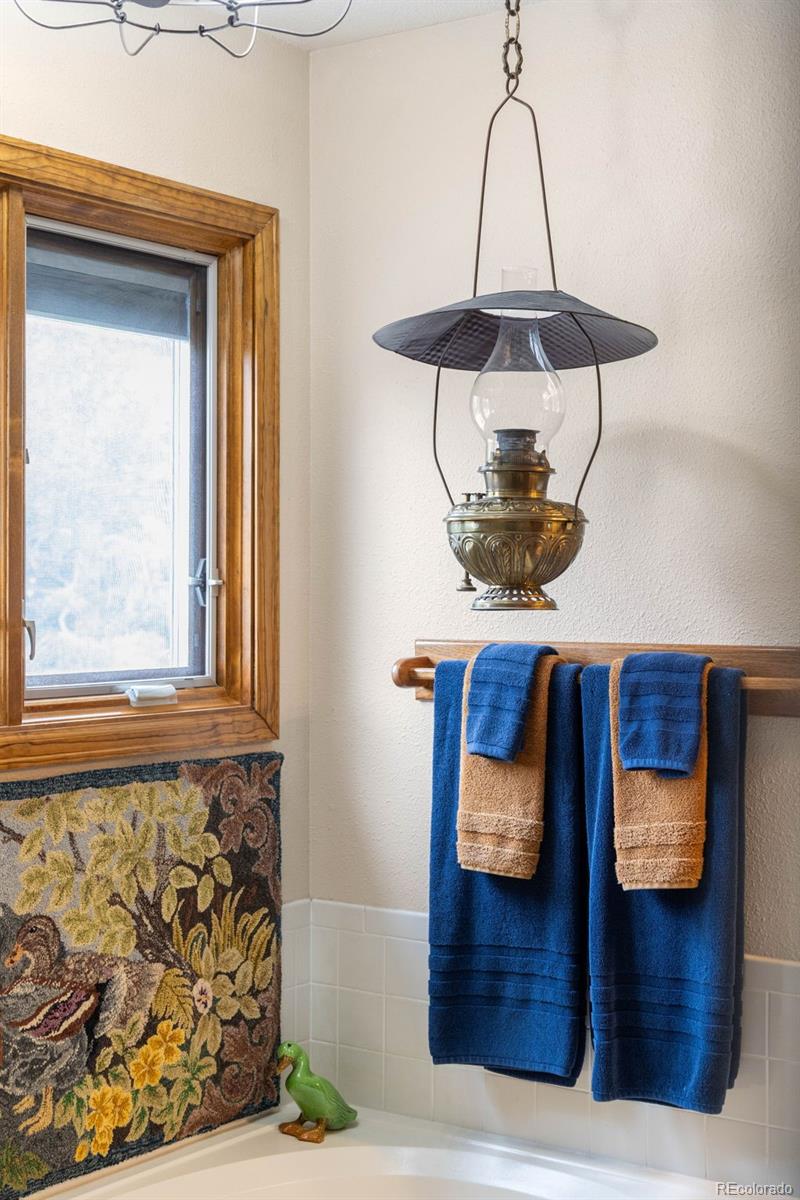 MLS Image #15 for 6374  harvard lane,highlands ranch, Colorado