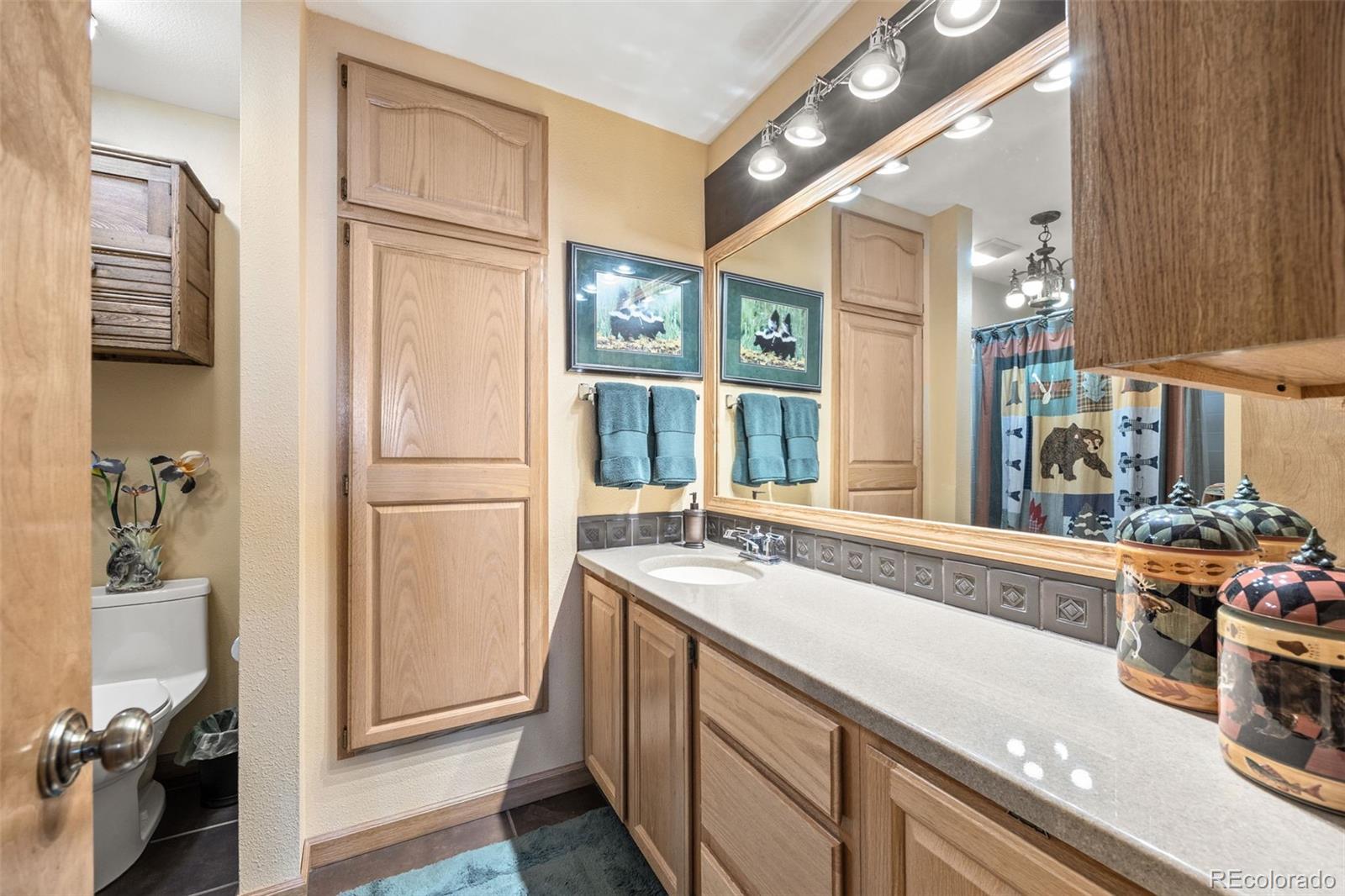 MLS Image #18 for 6374  harvard lane,highlands ranch, Colorado