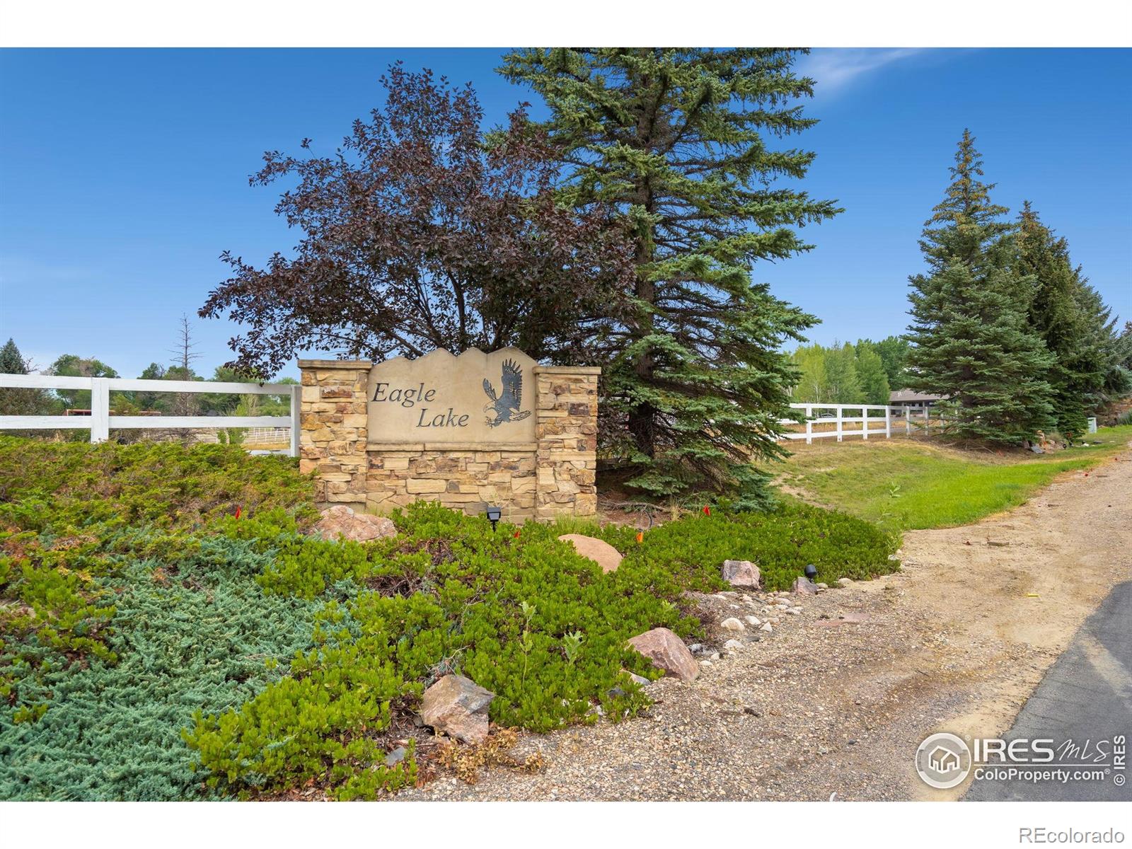 MLS Image #12 for 458  deerfield circle,fort collins, Colorado