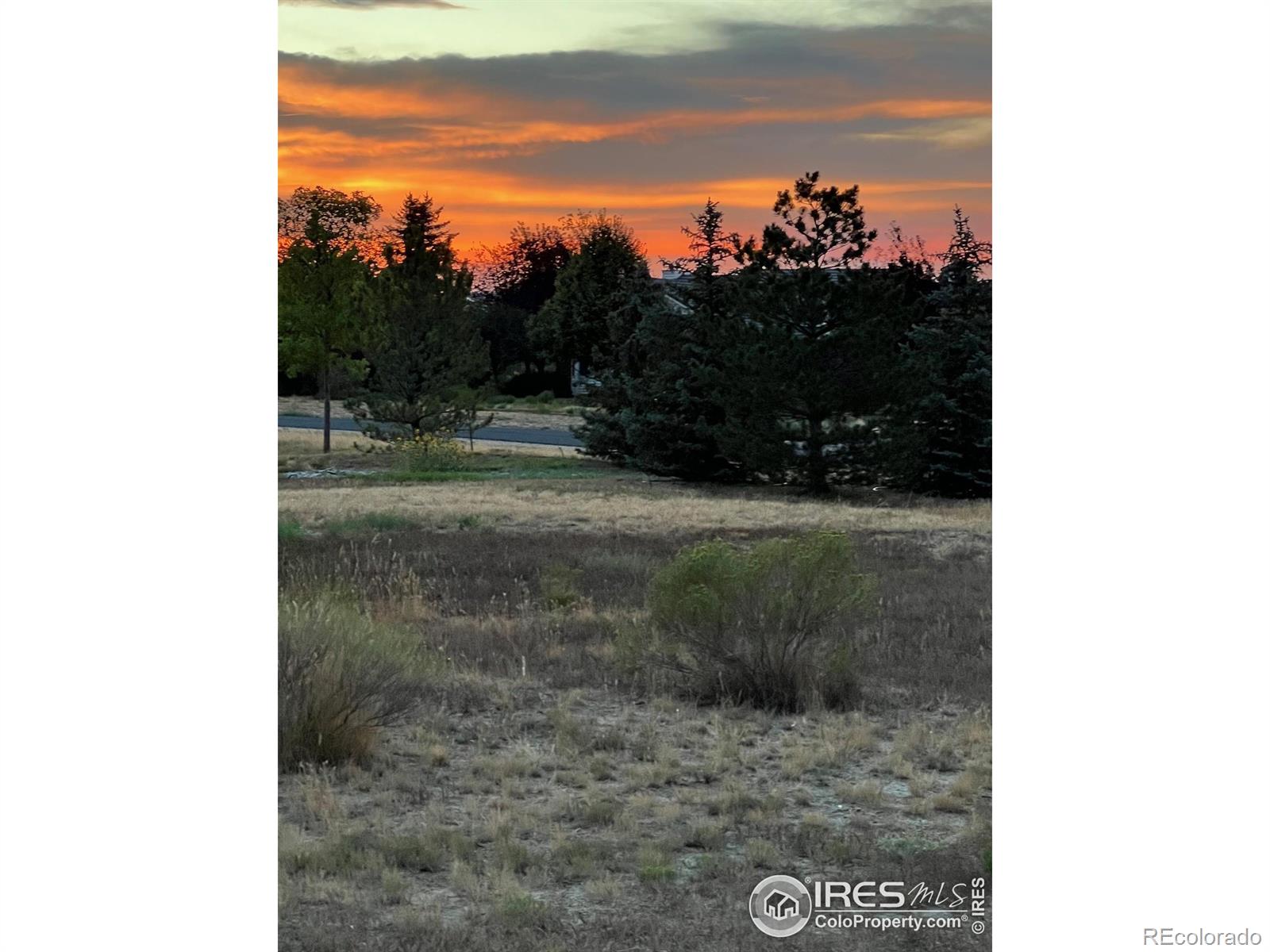 MLS Image #18 for 458  deerfield circle,fort collins, Colorado