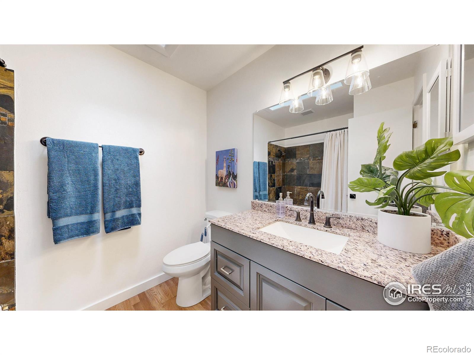 MLS Image #13 for 2206  rambouillet drive,fort collins, Colorado