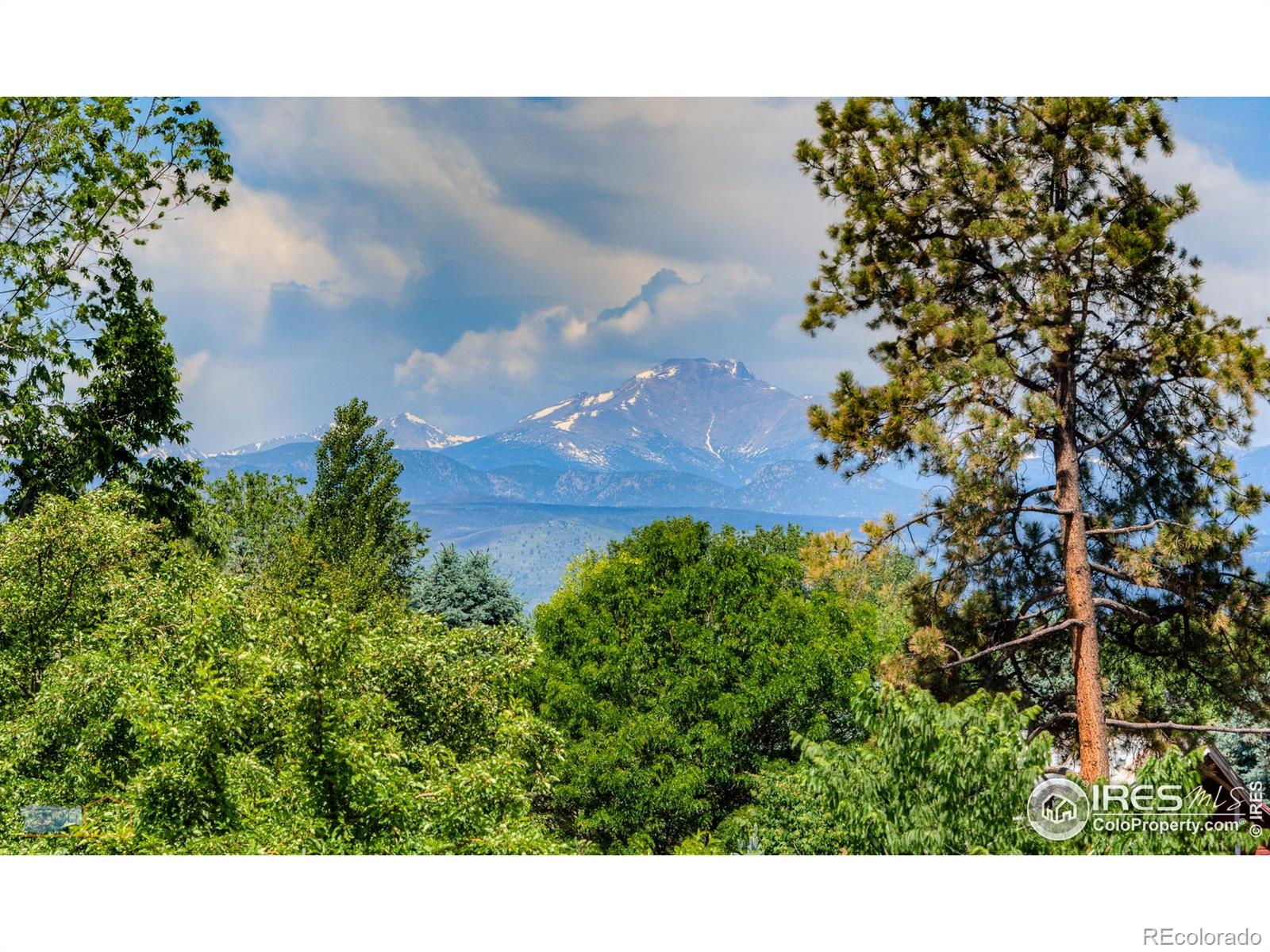 MLS Image #26 for 1028  katy lane,longmont, Colorado