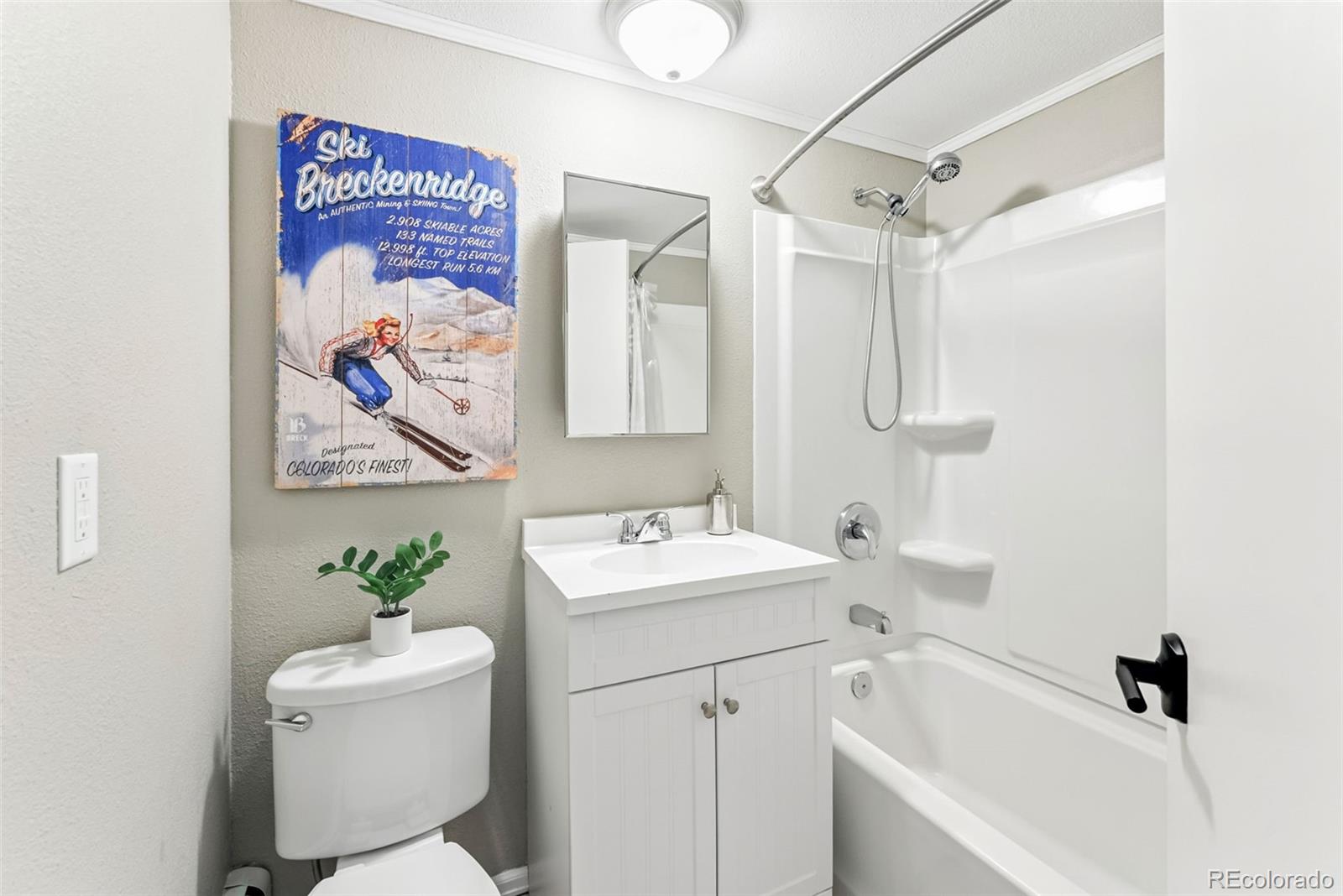 MLS Image #13 for 505 s ridge street,breckenridge, Colorado
