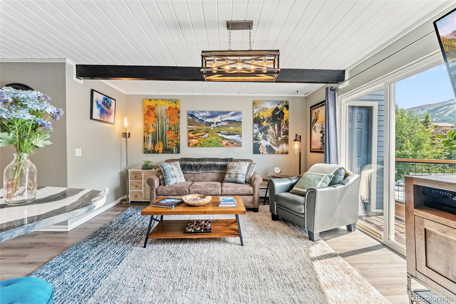 MLS Image #2 for 505 s ridge street,breckenridge, Colorado