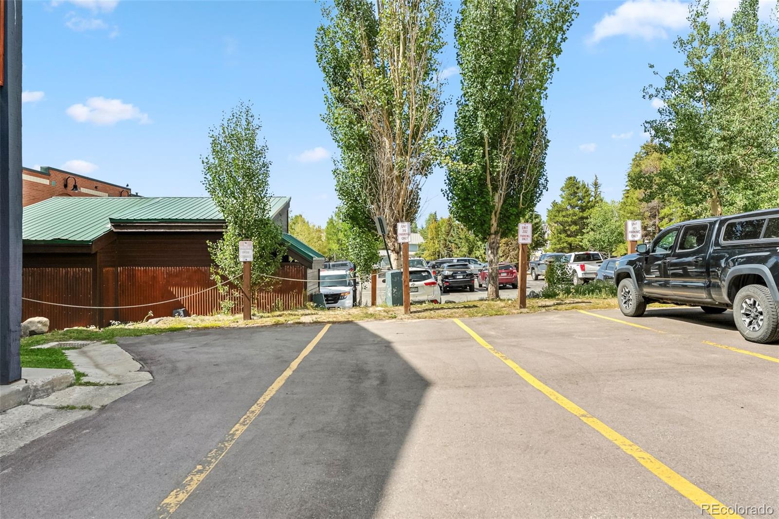 MLS Image #20 for 505 s ridge street,breckenridge, Colorado