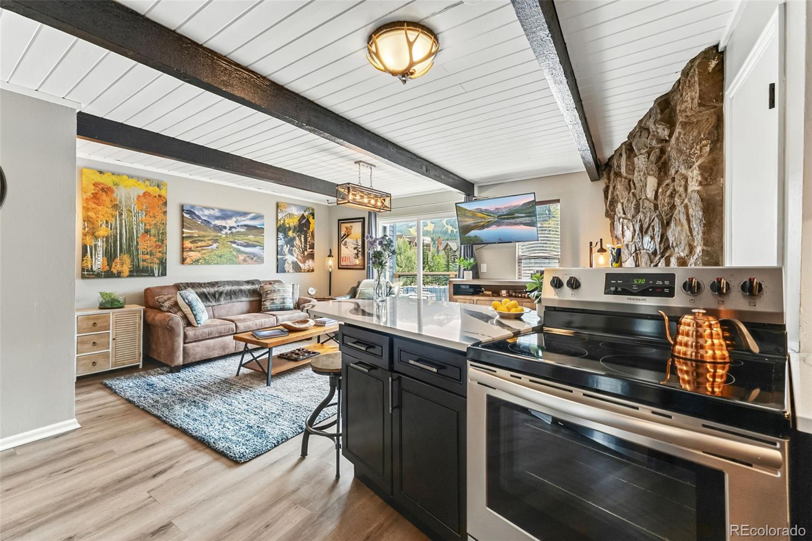 MLS Image #8 for 505 s ridge street,breckenridge, Colorado
