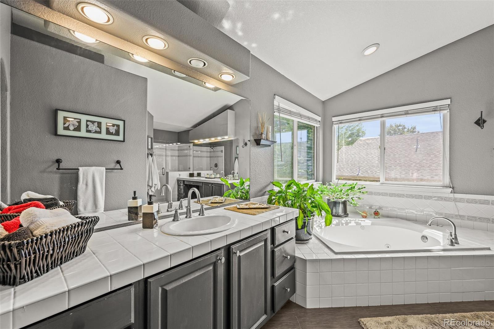 MLS Image #21 for 8660  grand cypress lane,lone tree, Colorado