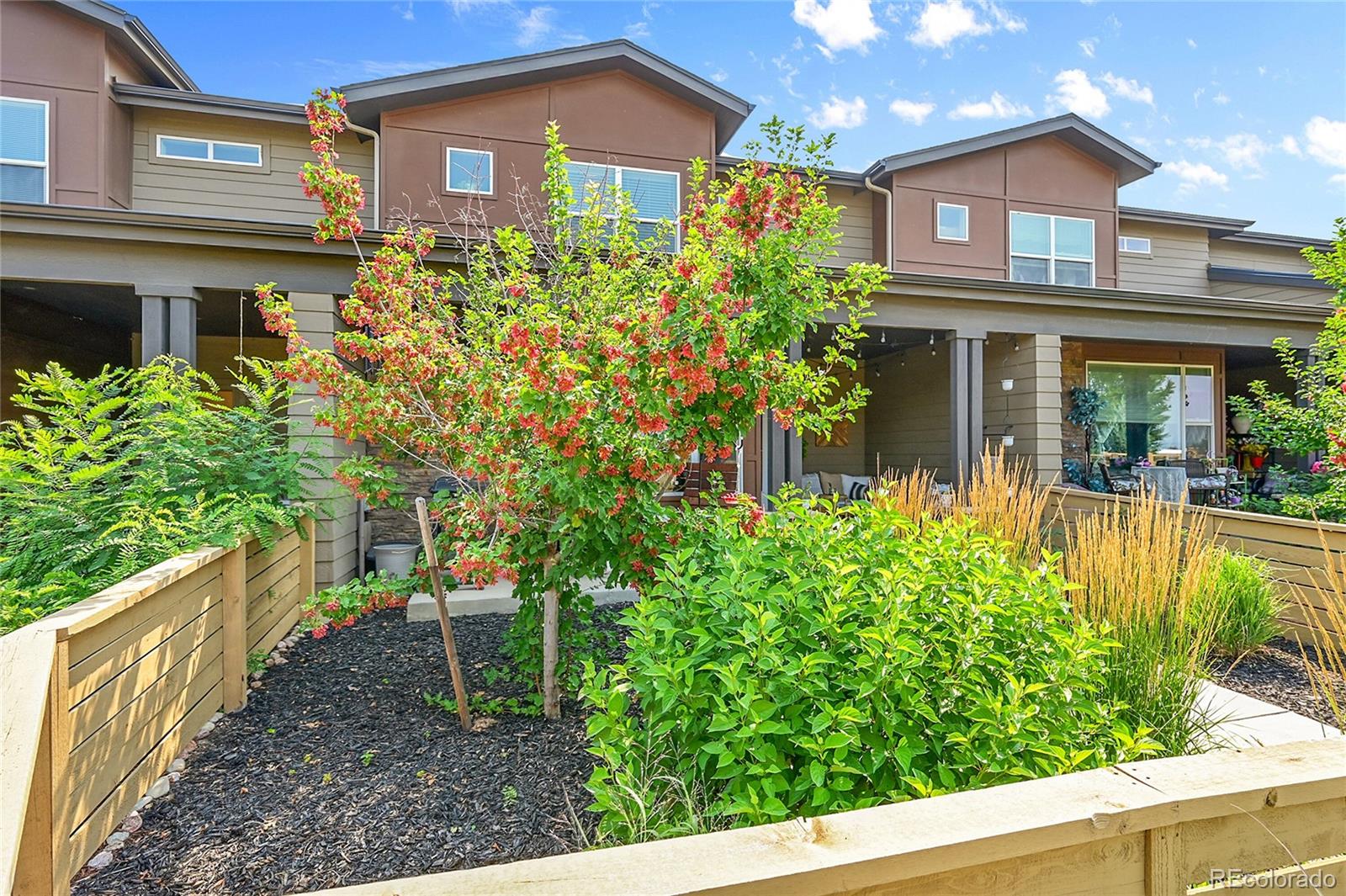 MLS Image #2 for 326  skyraider way,fort collins, Colorado