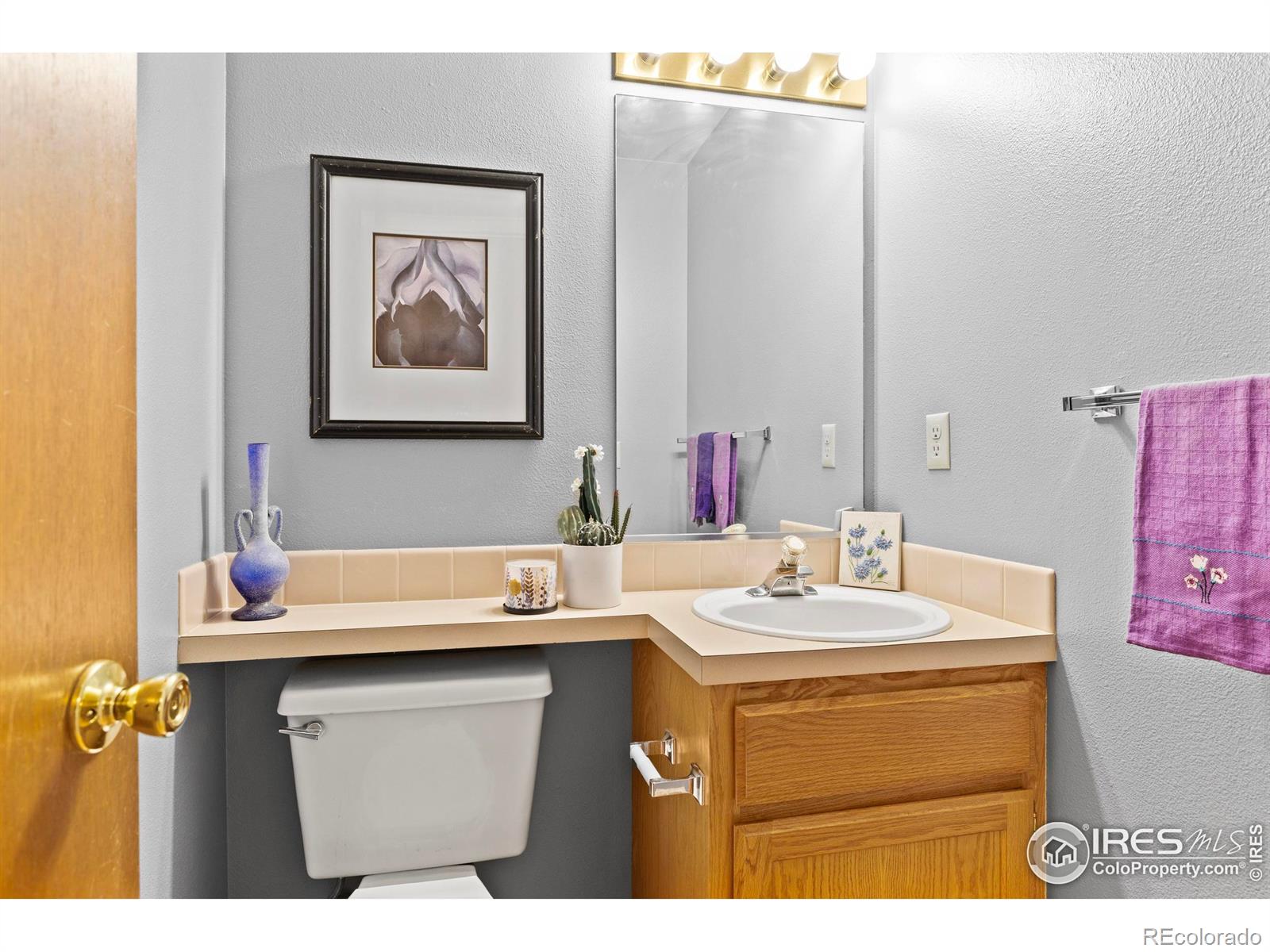 MLS Image #10 for 906  shire court,fort collins, Colorado