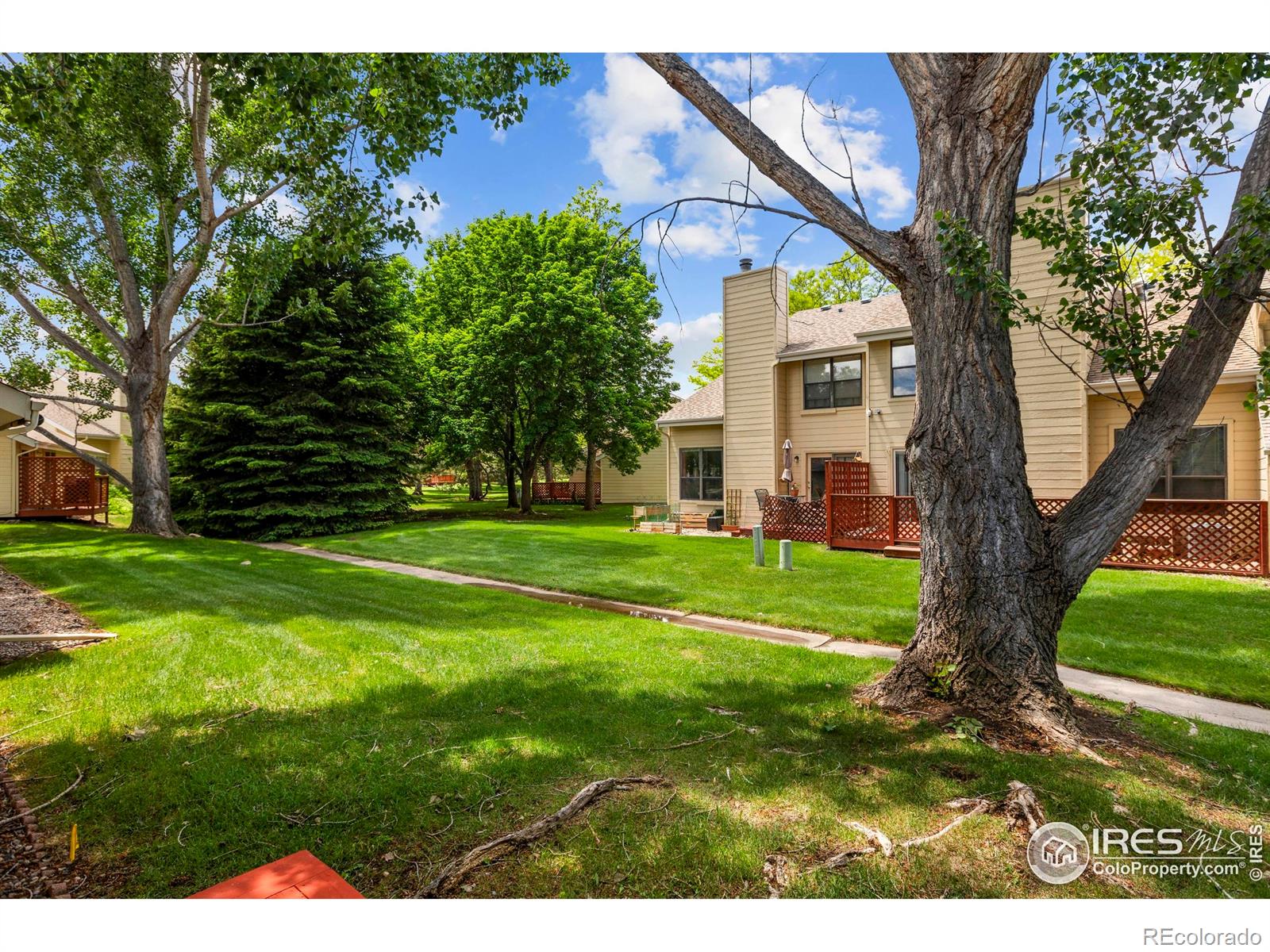 MLS Image #20 for 906  shire court,fort collins, Colorado
