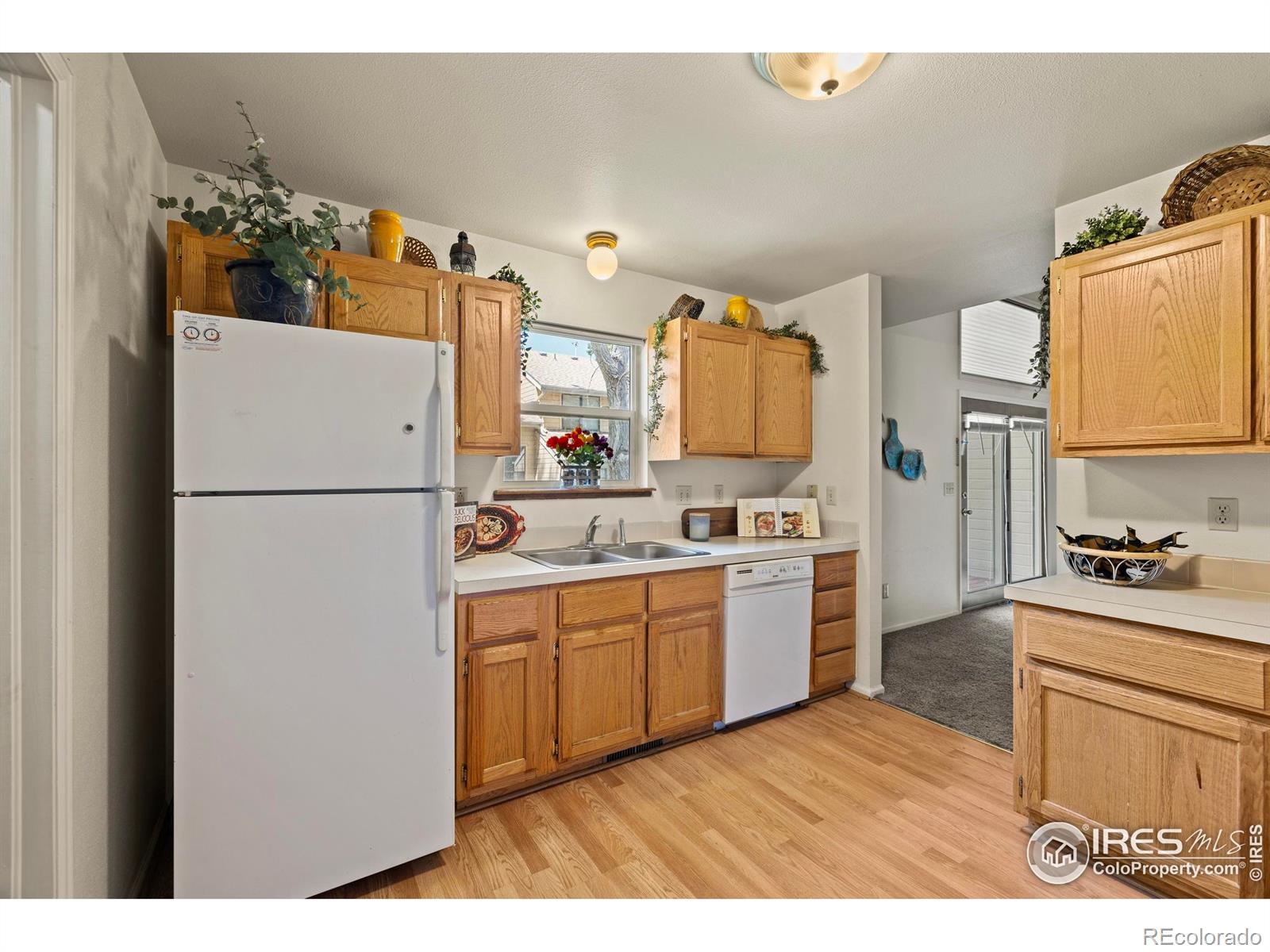 MLS Image #5 for 906  shire court,fort collins, Colorado