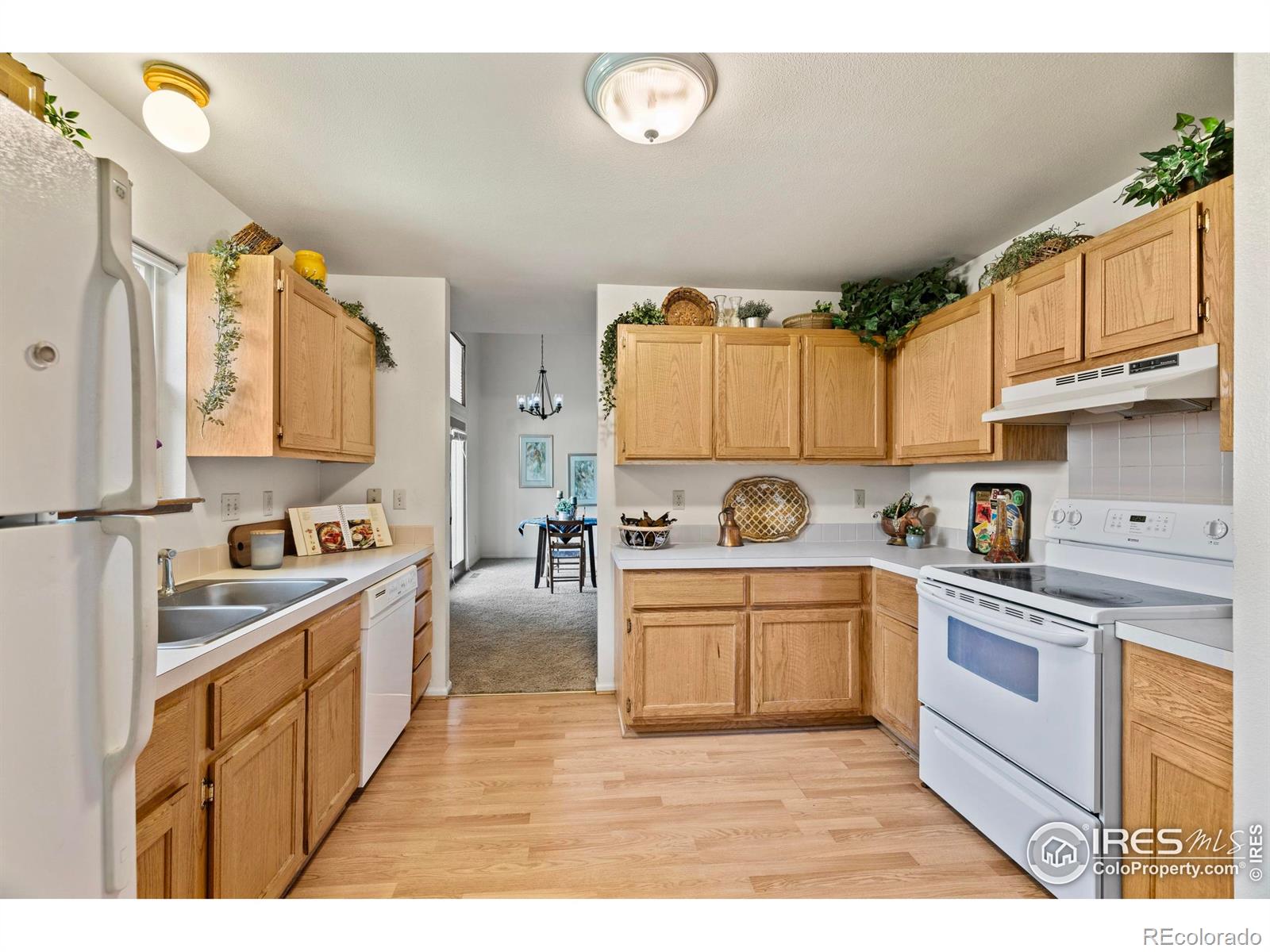 MLS Image #7 for 906  shire court,fort collins, Colorado